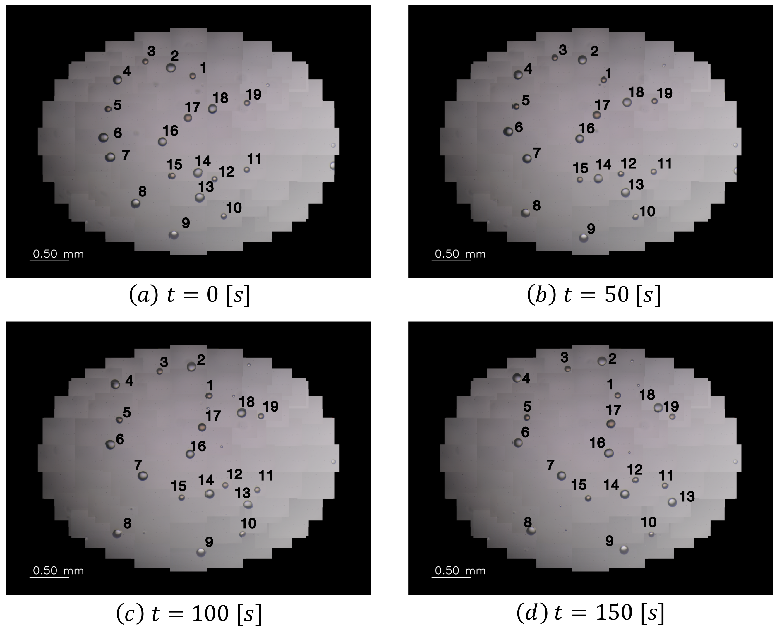Sensors 22 06309 g009 550