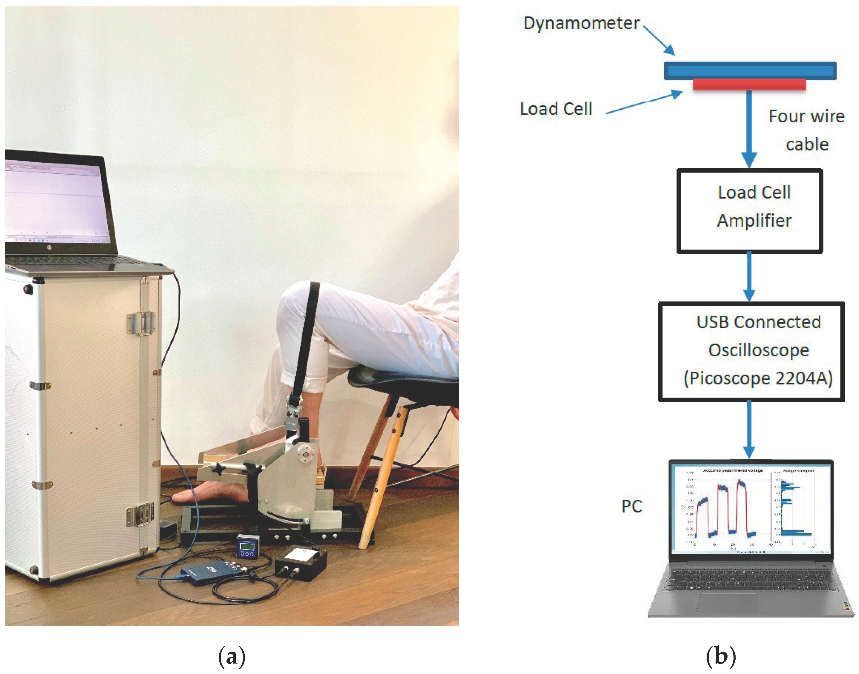 Sensors Free Full-Text A Signal Processing Method for Assessing Ankle Torque with a Custom-Made Electronic Dynamometer in Participants Affected by Diabetic Peripheral Neuropathy