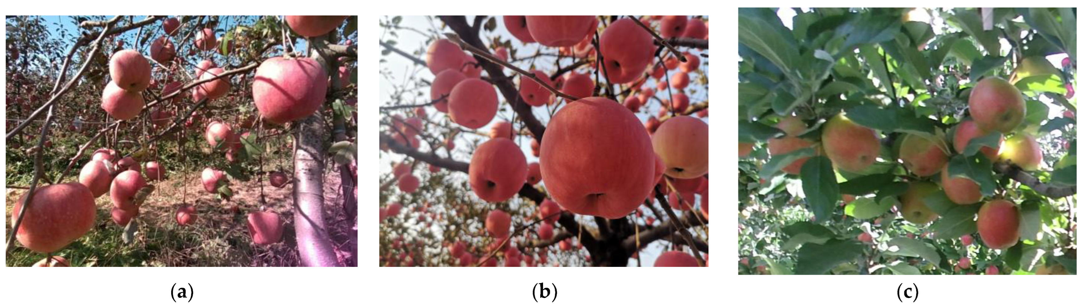 Sensors 22 06325 g001 550