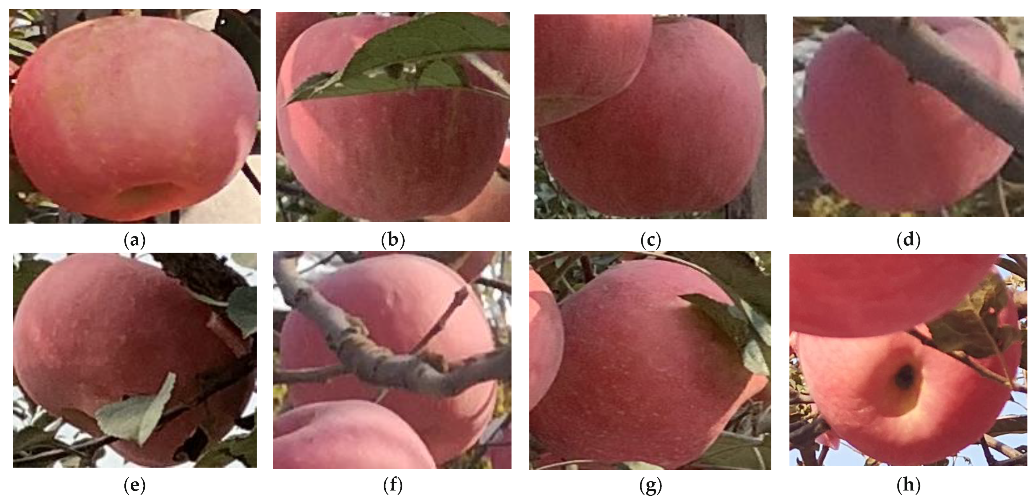 Sensors 22 06325 g002 550