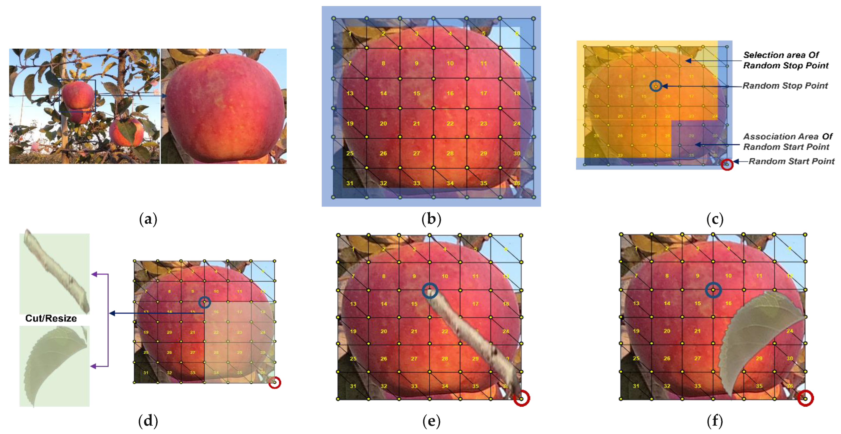 Sensors 22 06325 g006 550