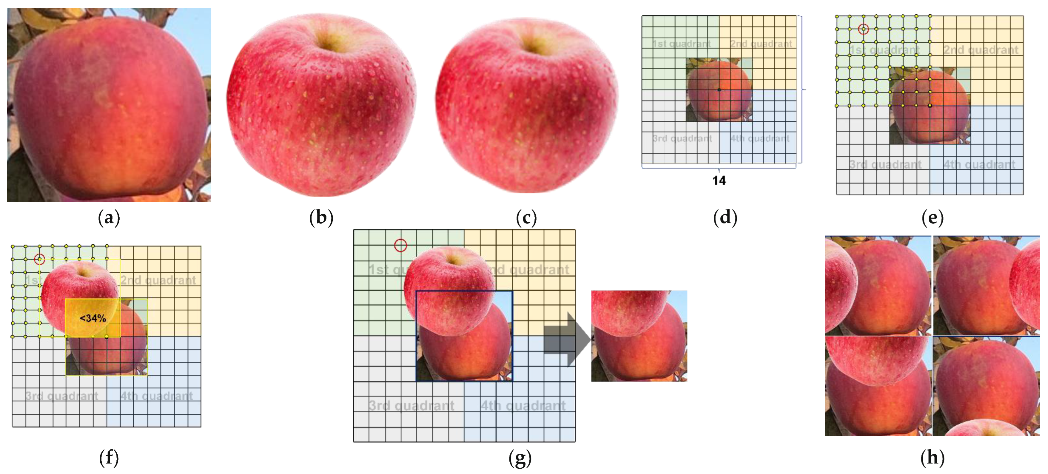 Sensors 22 06325 g007 550