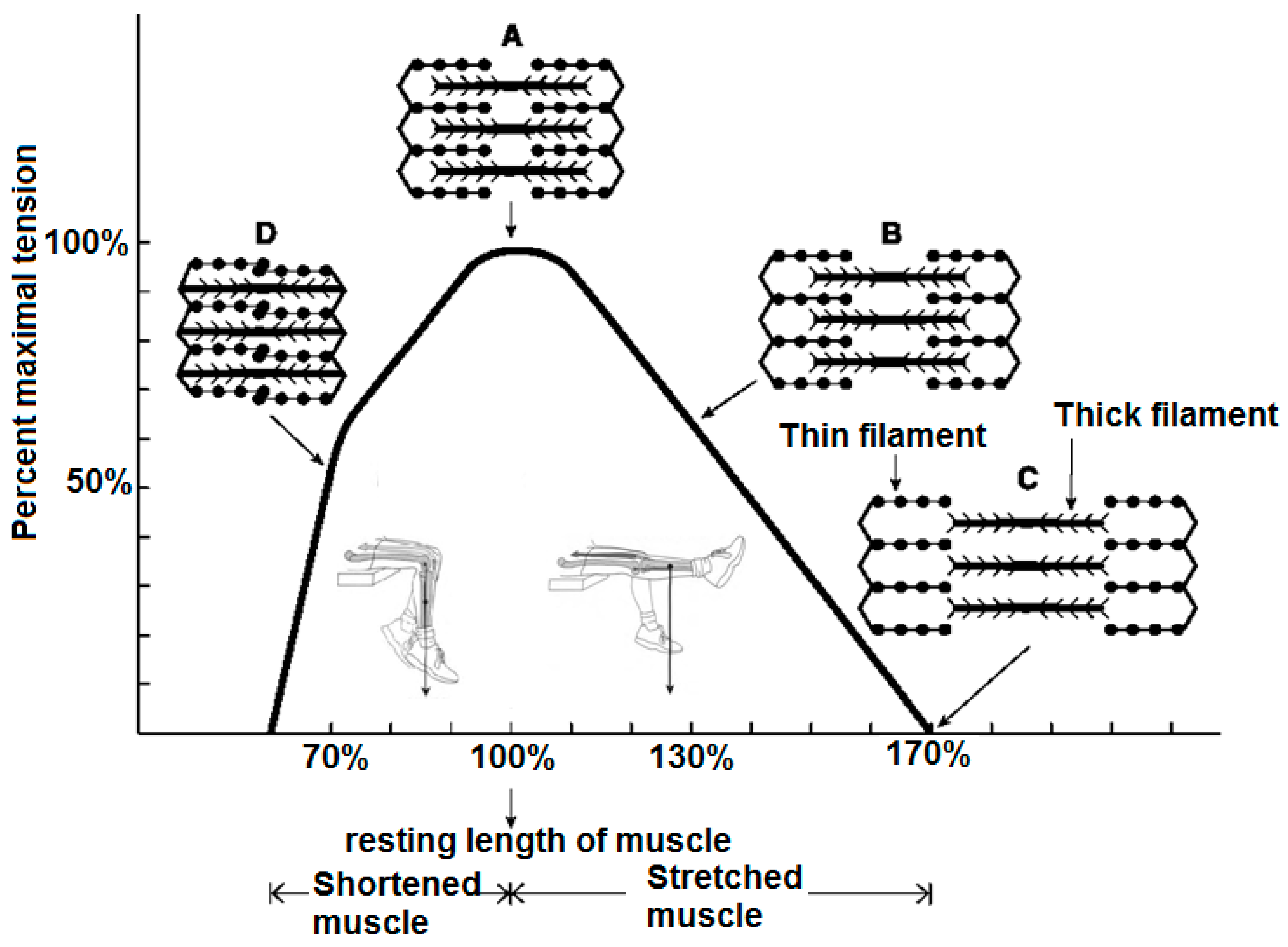 Sensors 22 06336 g002 550