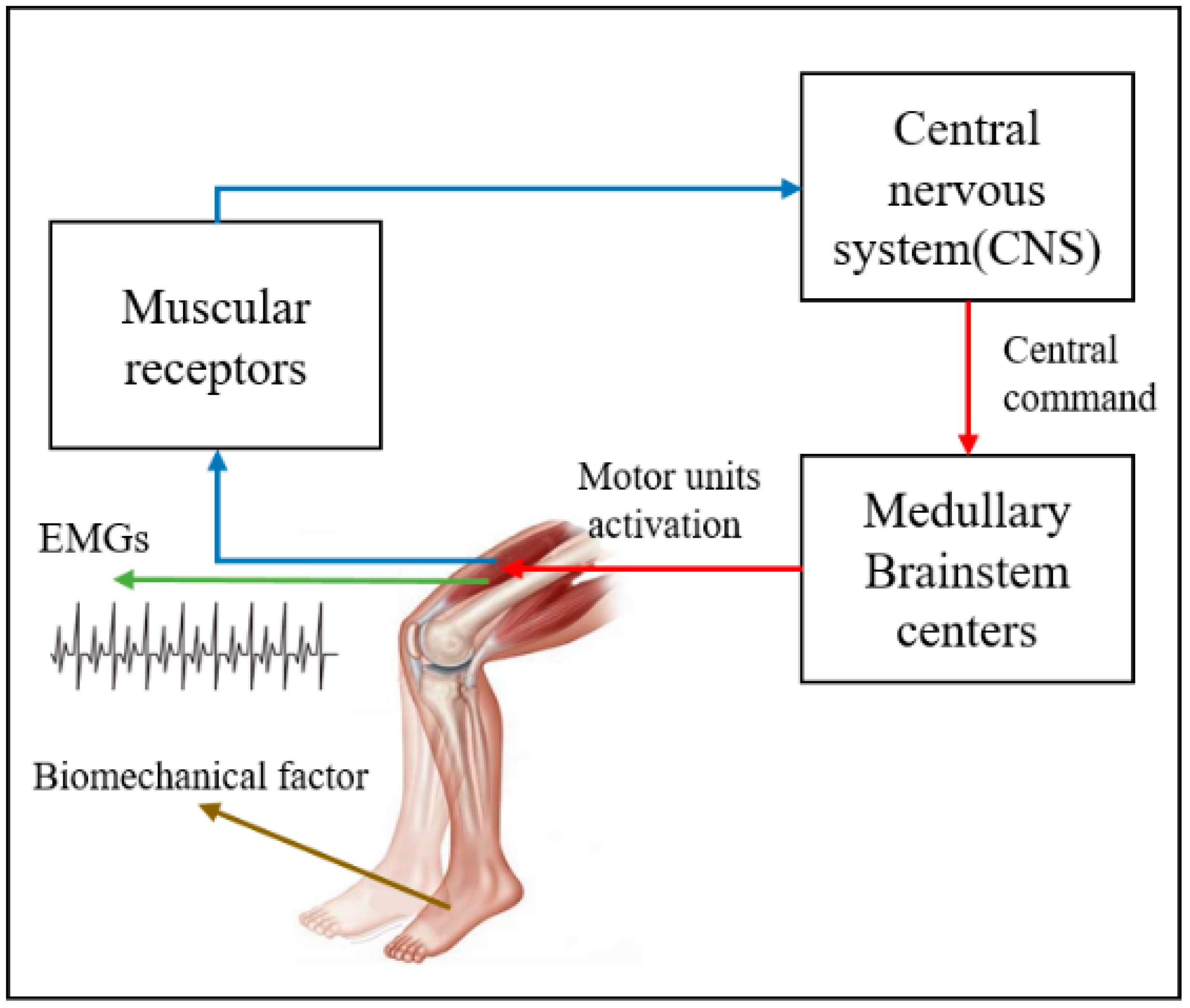 Sensors 22 06336 g003 550