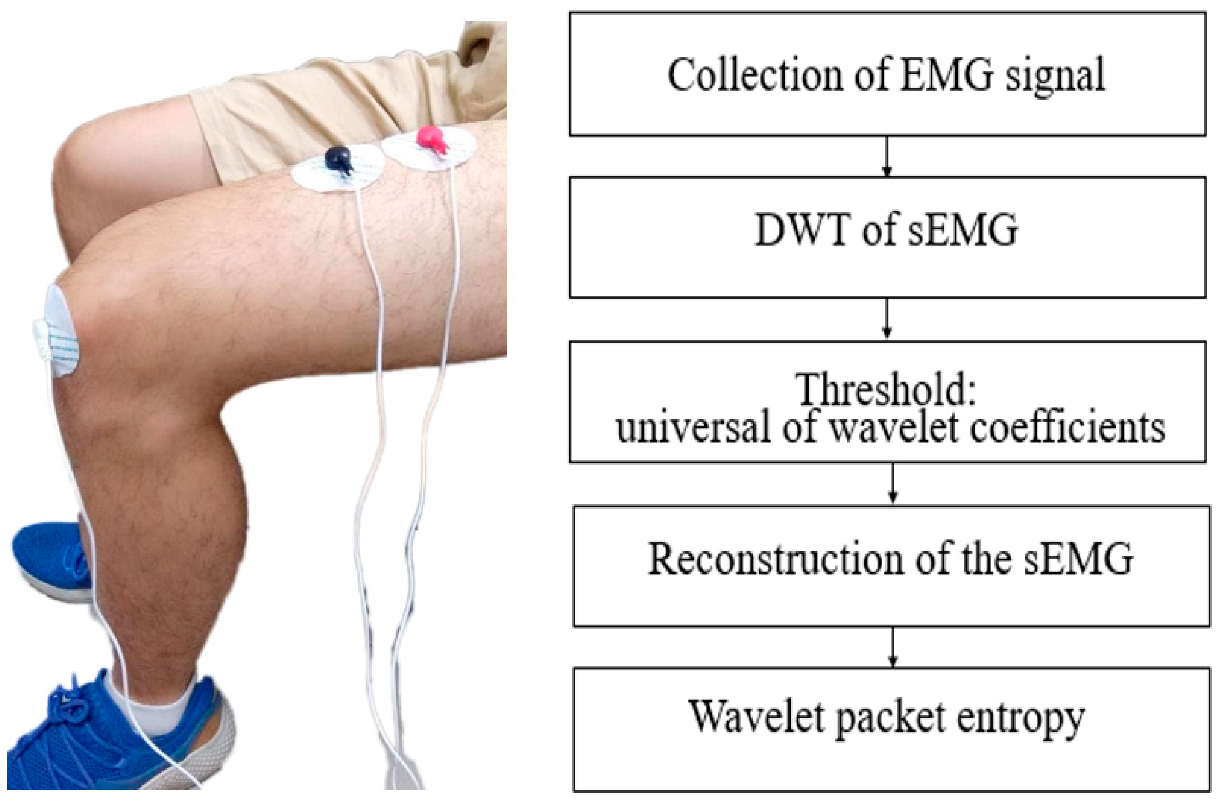 Sensors 22 06336 g005 550