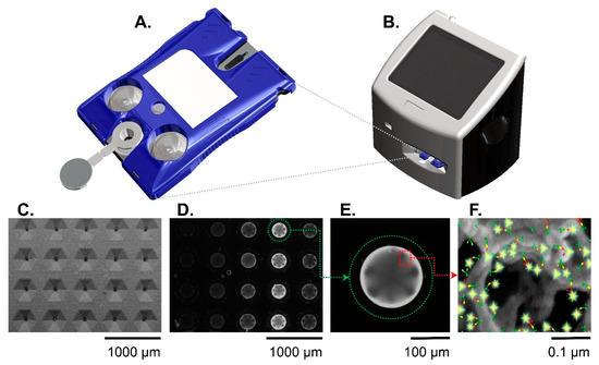 Smart Diagnostics: Combining Artificial Intelligence and In Vitro ...