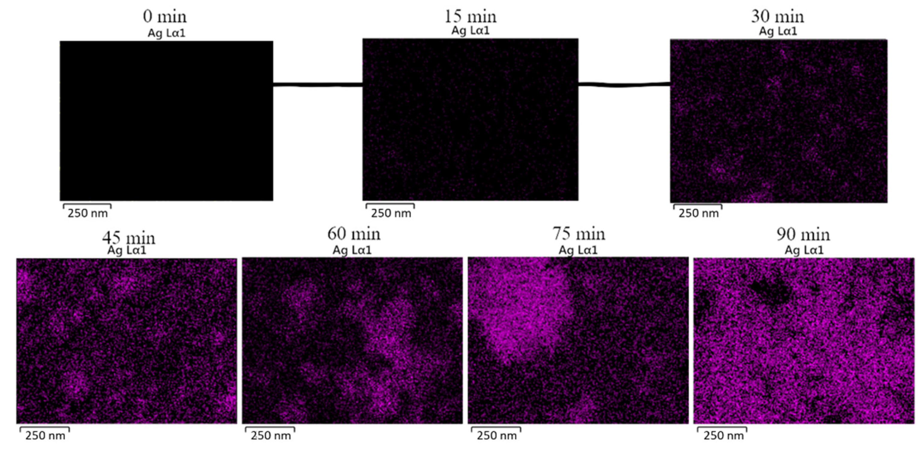 Sensors 22 06406 g003