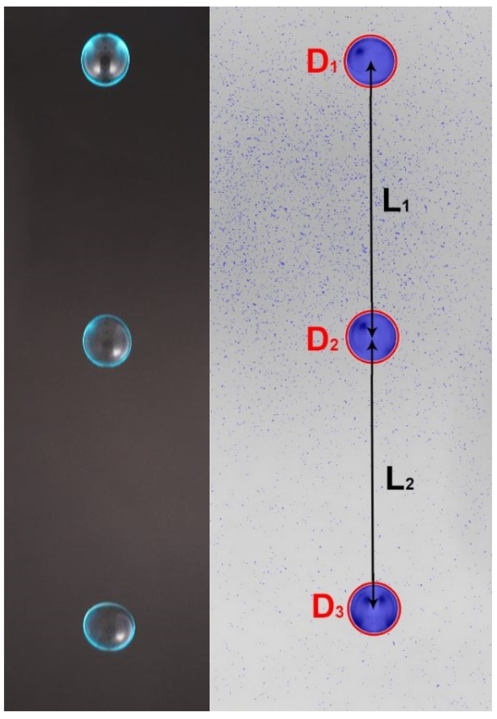 Sensors 22 06413 g005 550