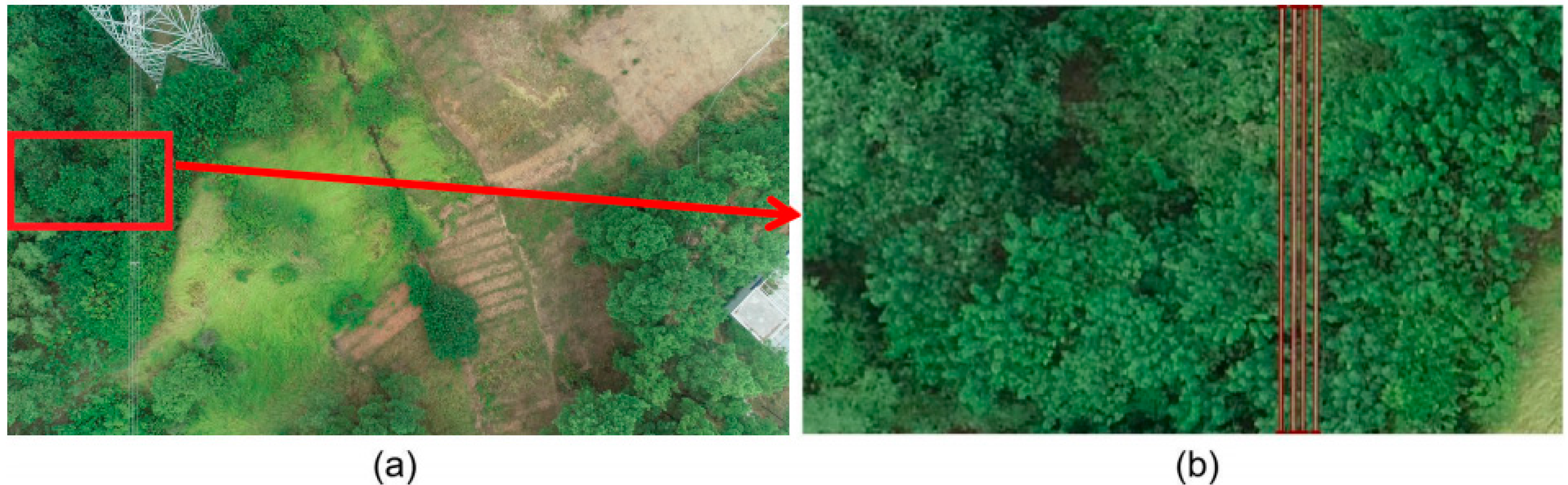 Sensors 22 06431 g002 550