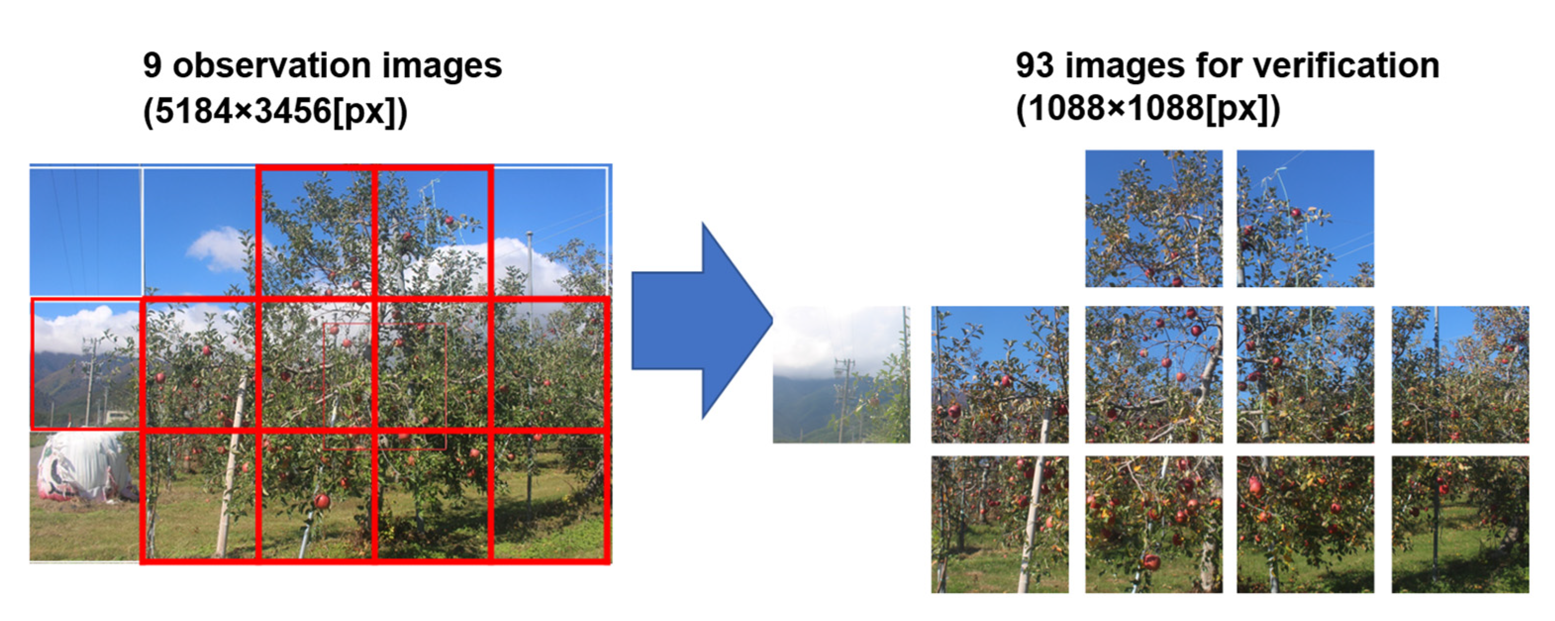 Sensors 22 06473 g006 550