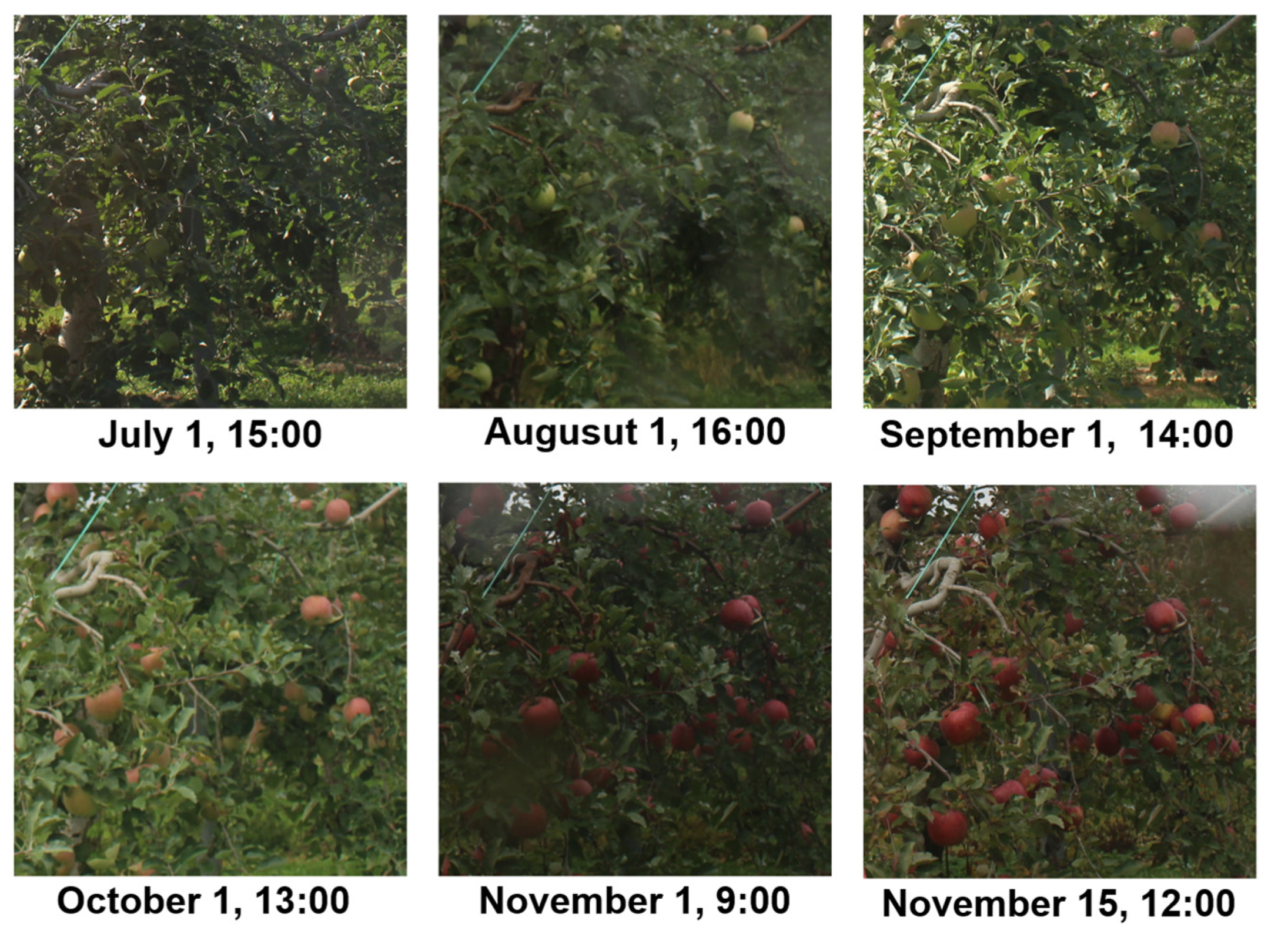 Sensors 22 06473 g008 550