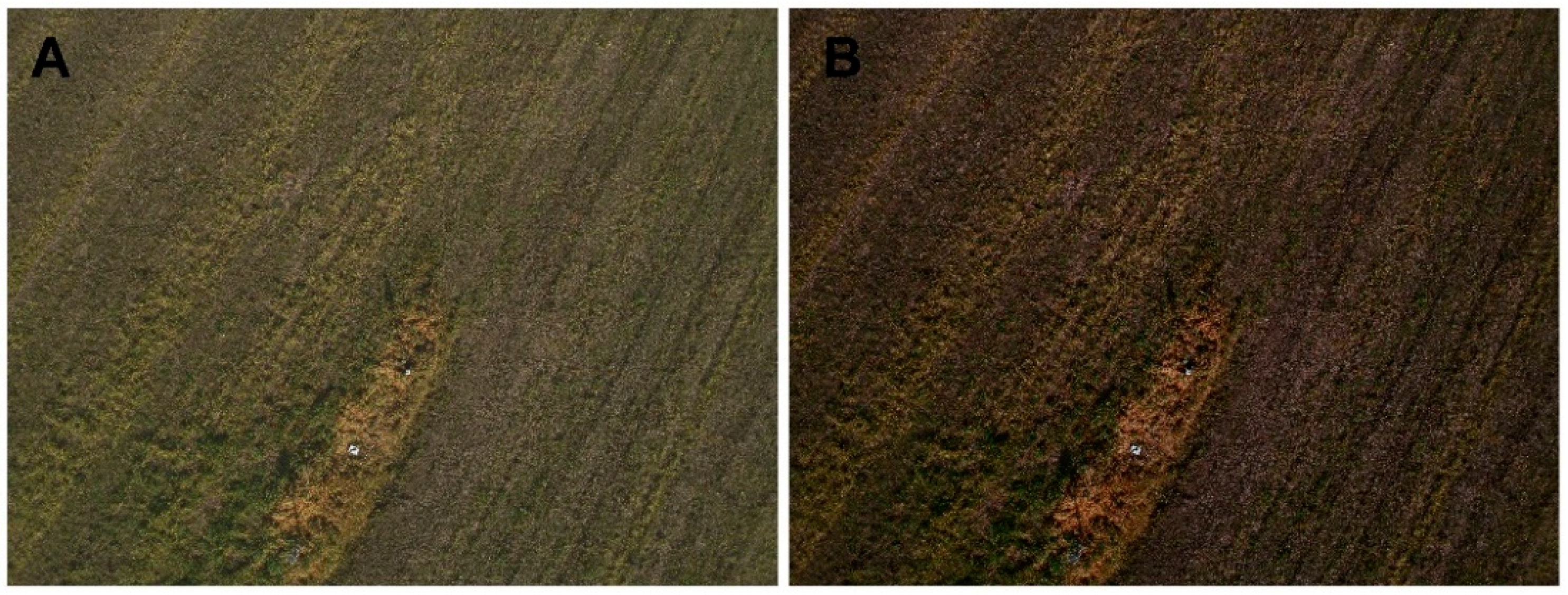 Sensors 22 06490 g003 550