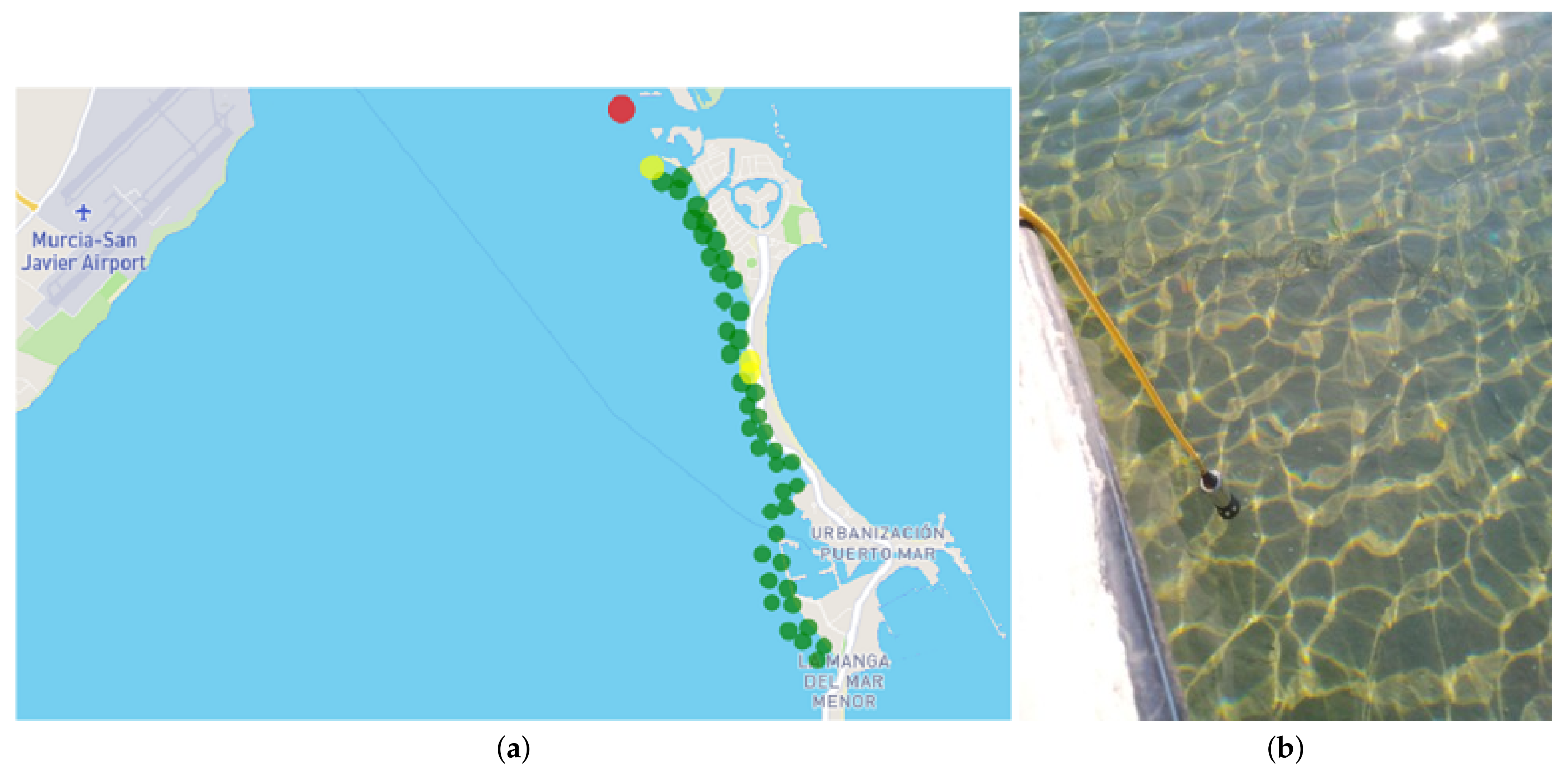 Sensors 22 06507 g018 550