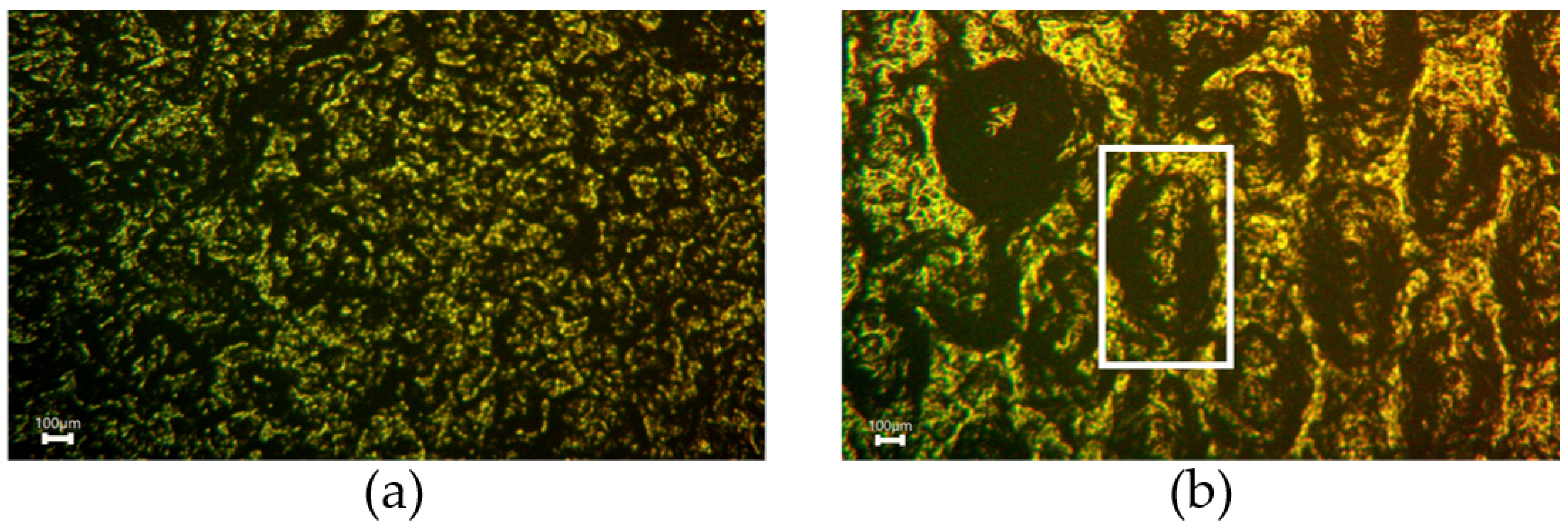 Sensors 22 06530 g011 550