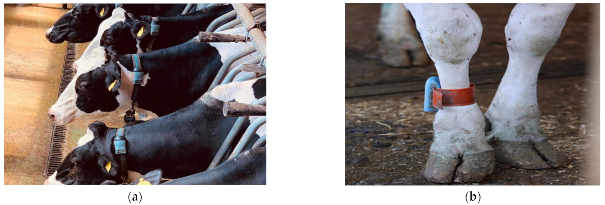 Sensors 22 06566 g002 550