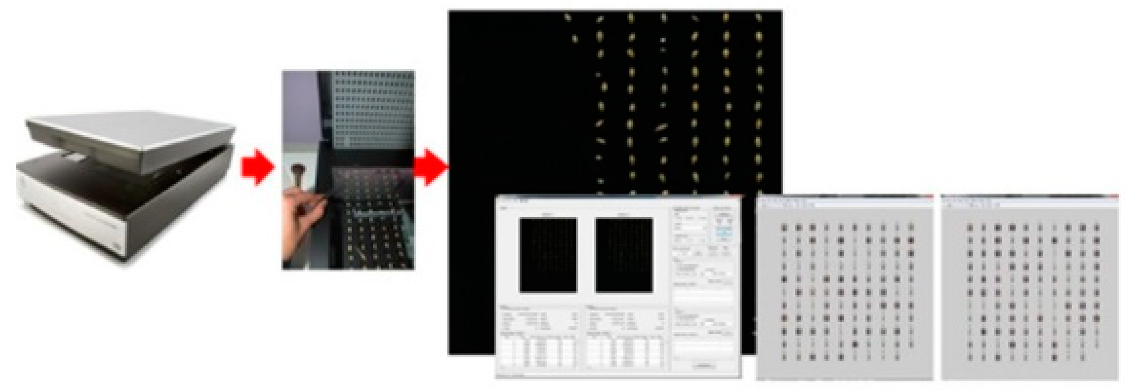 Sensors 22 06578 g003