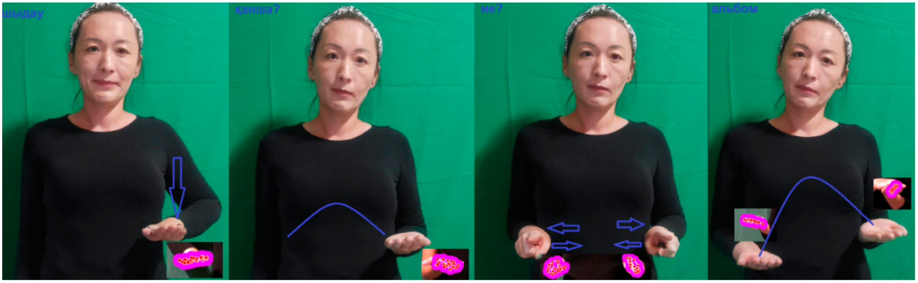 Sign Language Recognition Method Based on Palm Definition Model and ...