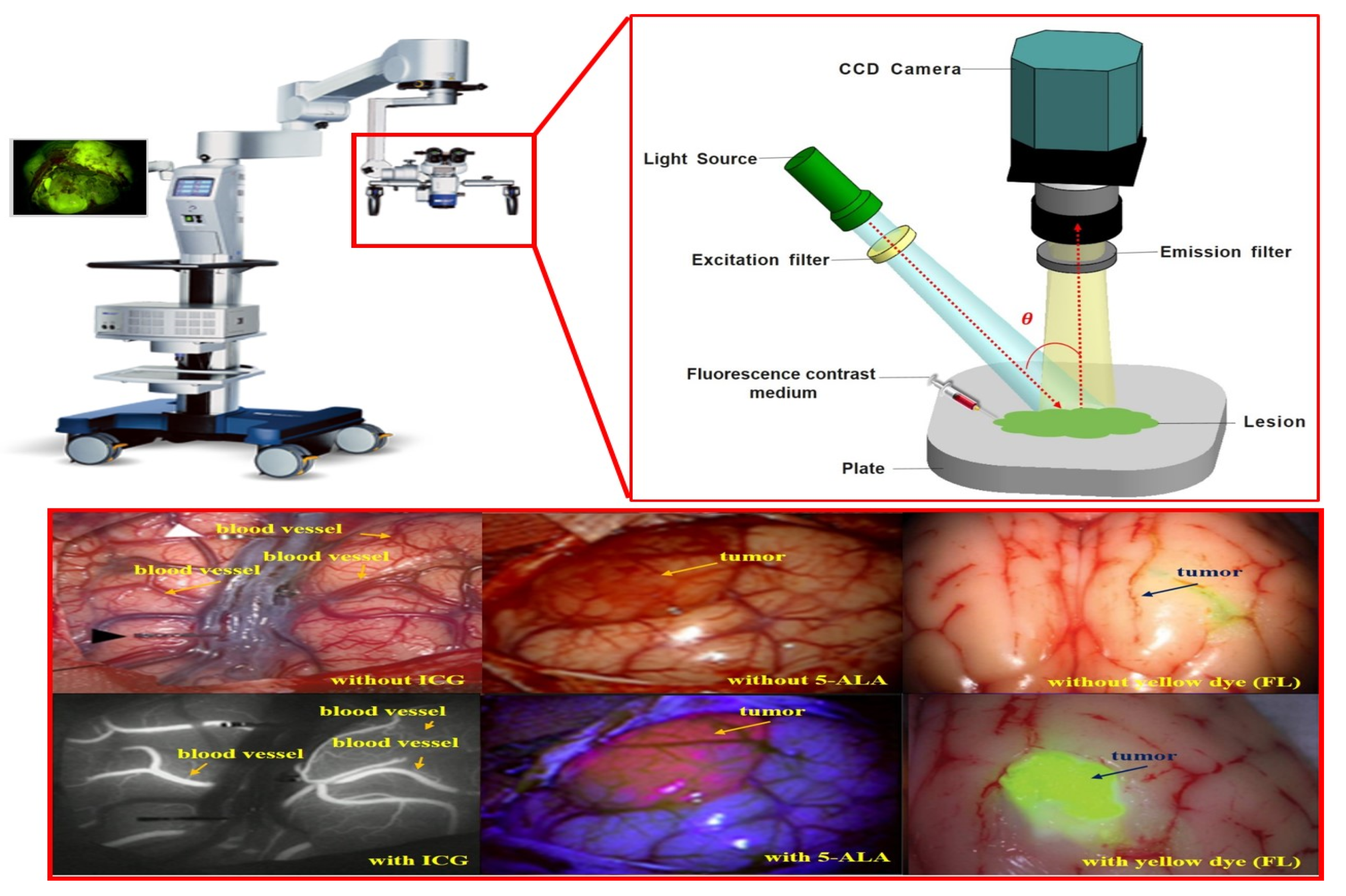 Sensors 22 06651 g001