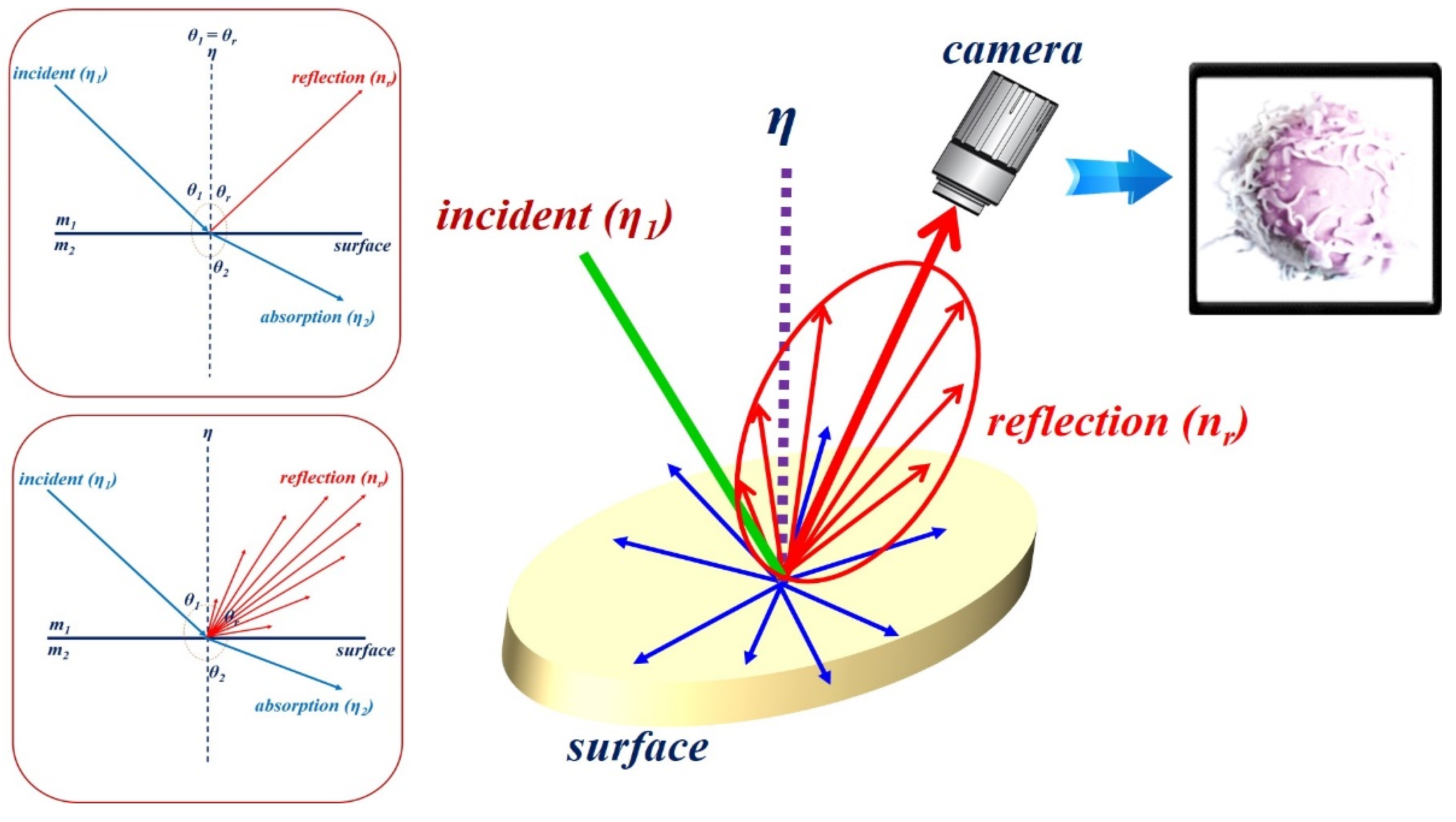 Sensors 22 06651 g003