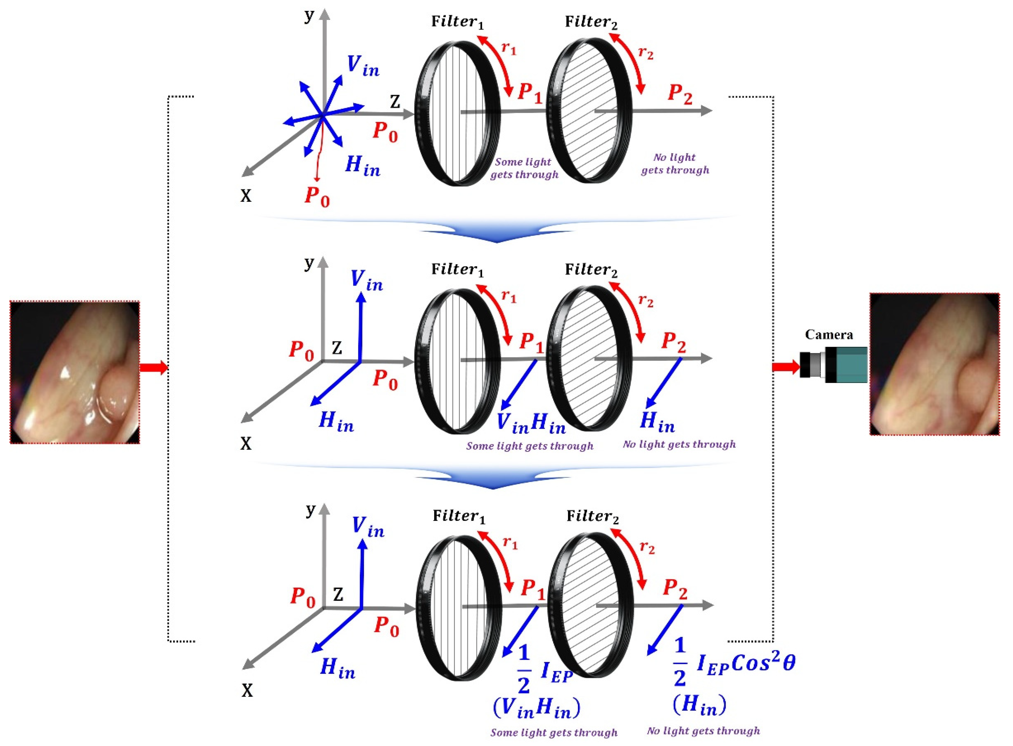 Sensors 22 06651 g010