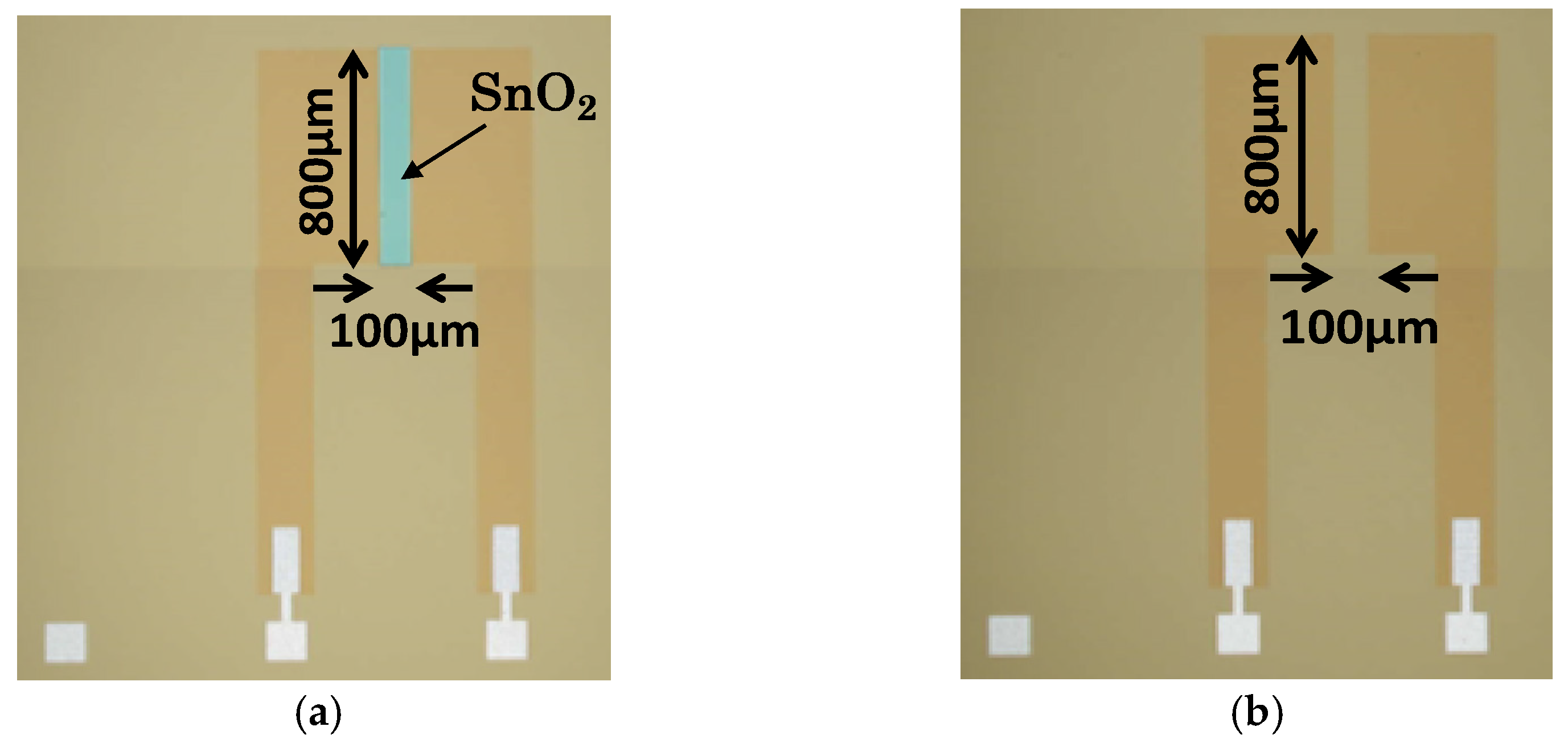 Sensors 22 06669 g003