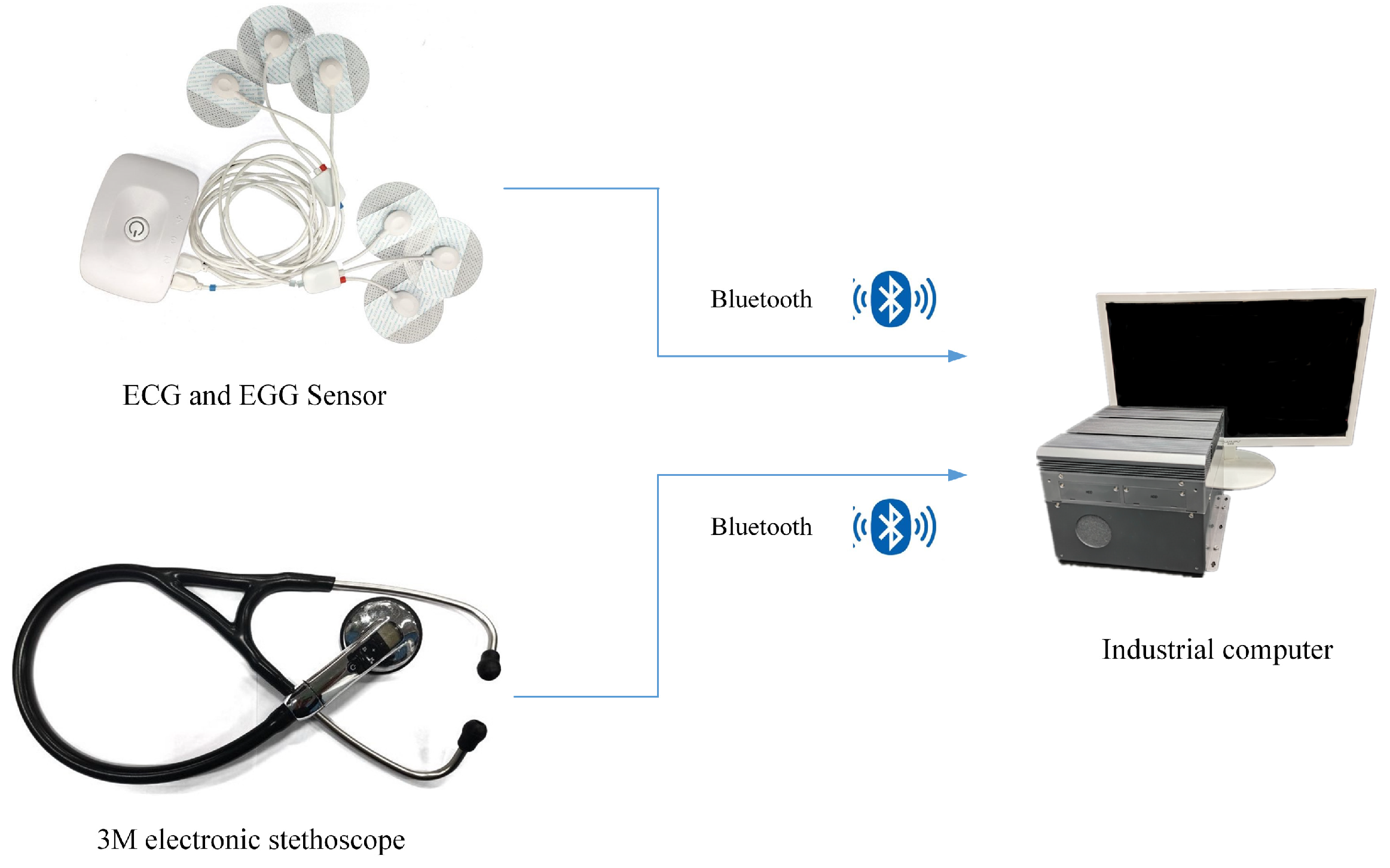 Sensors 22 06704 g002