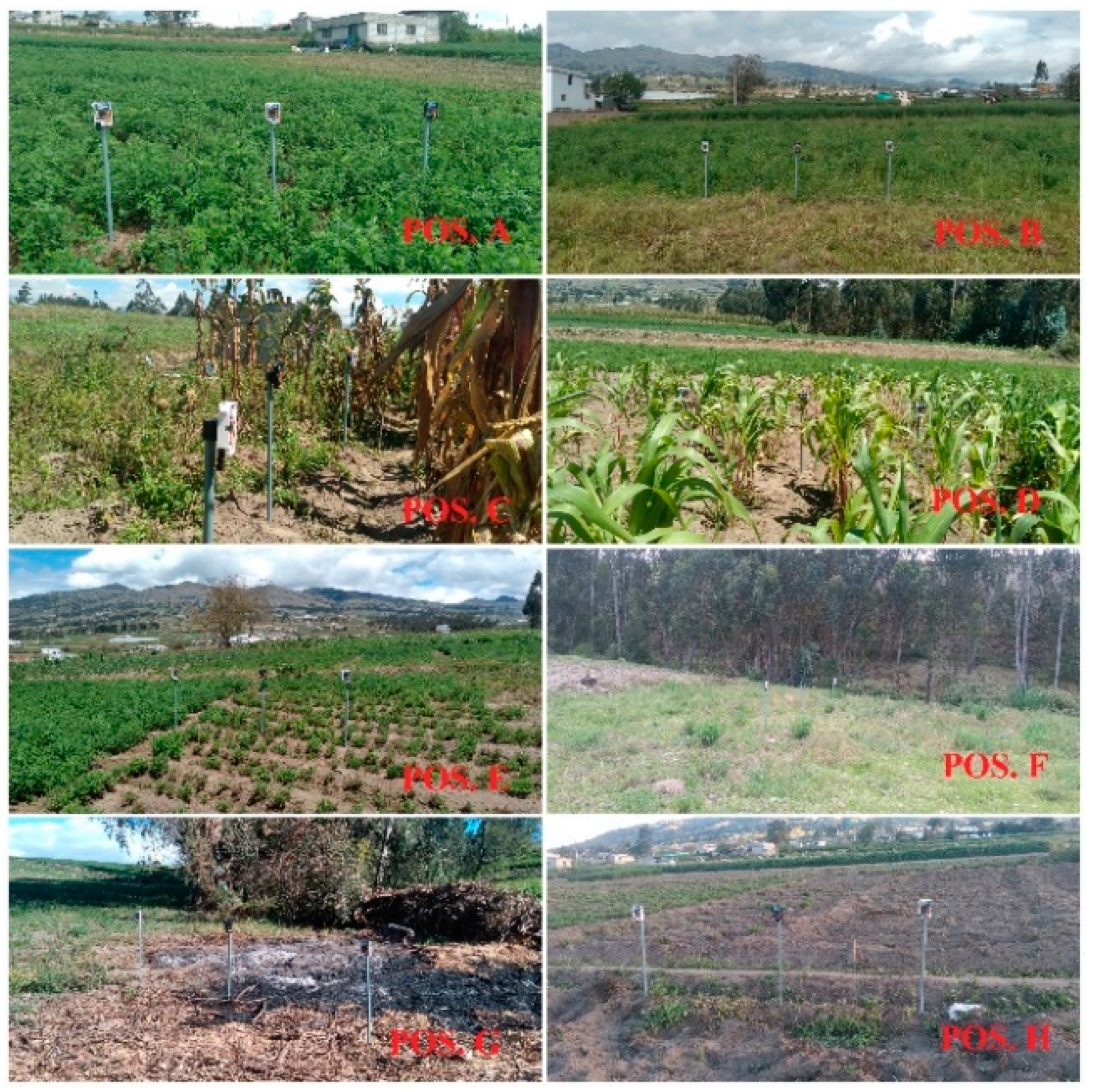 Sensors 22 06743 g010 550