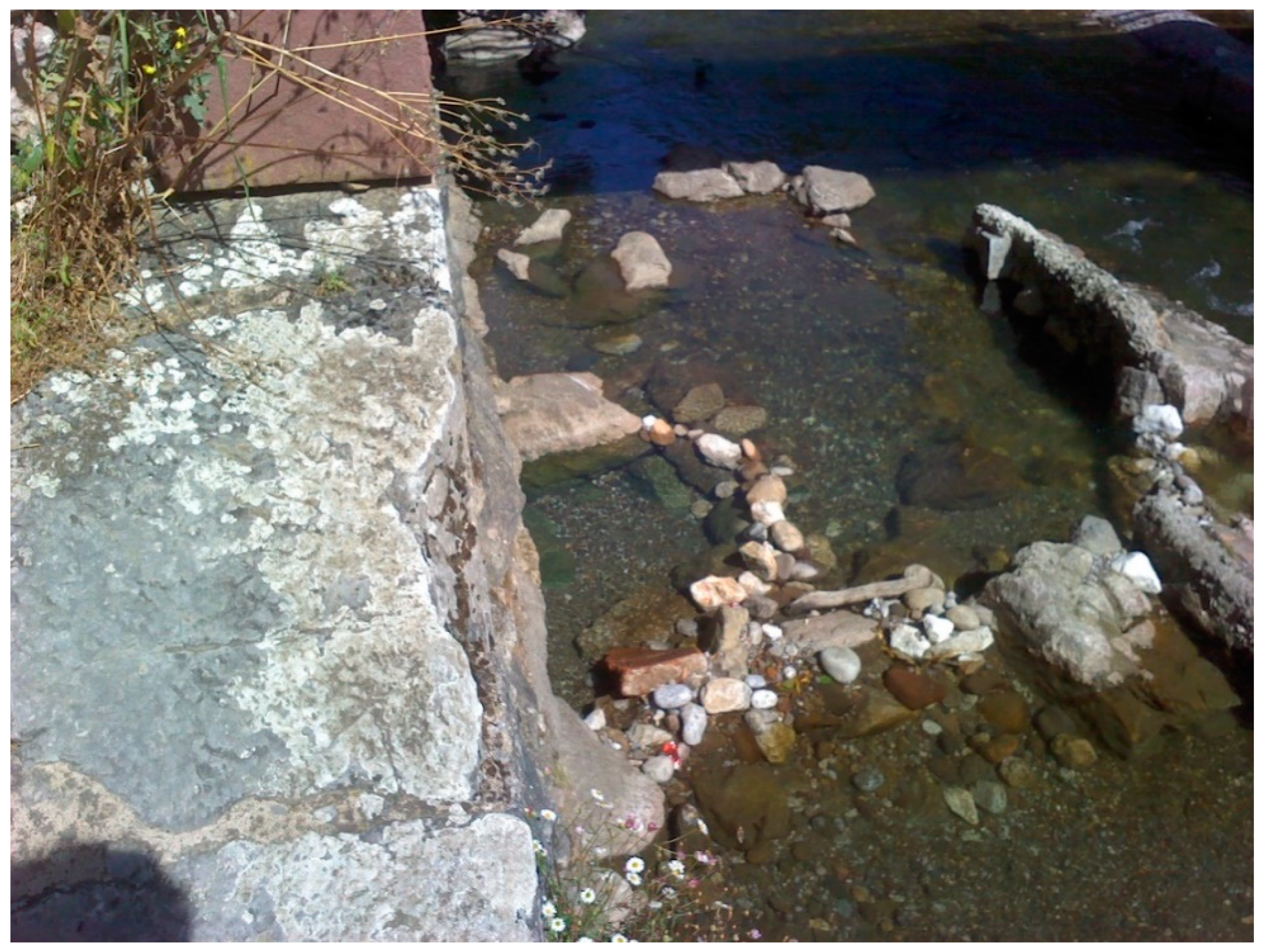 Sensors 22 06756 g016