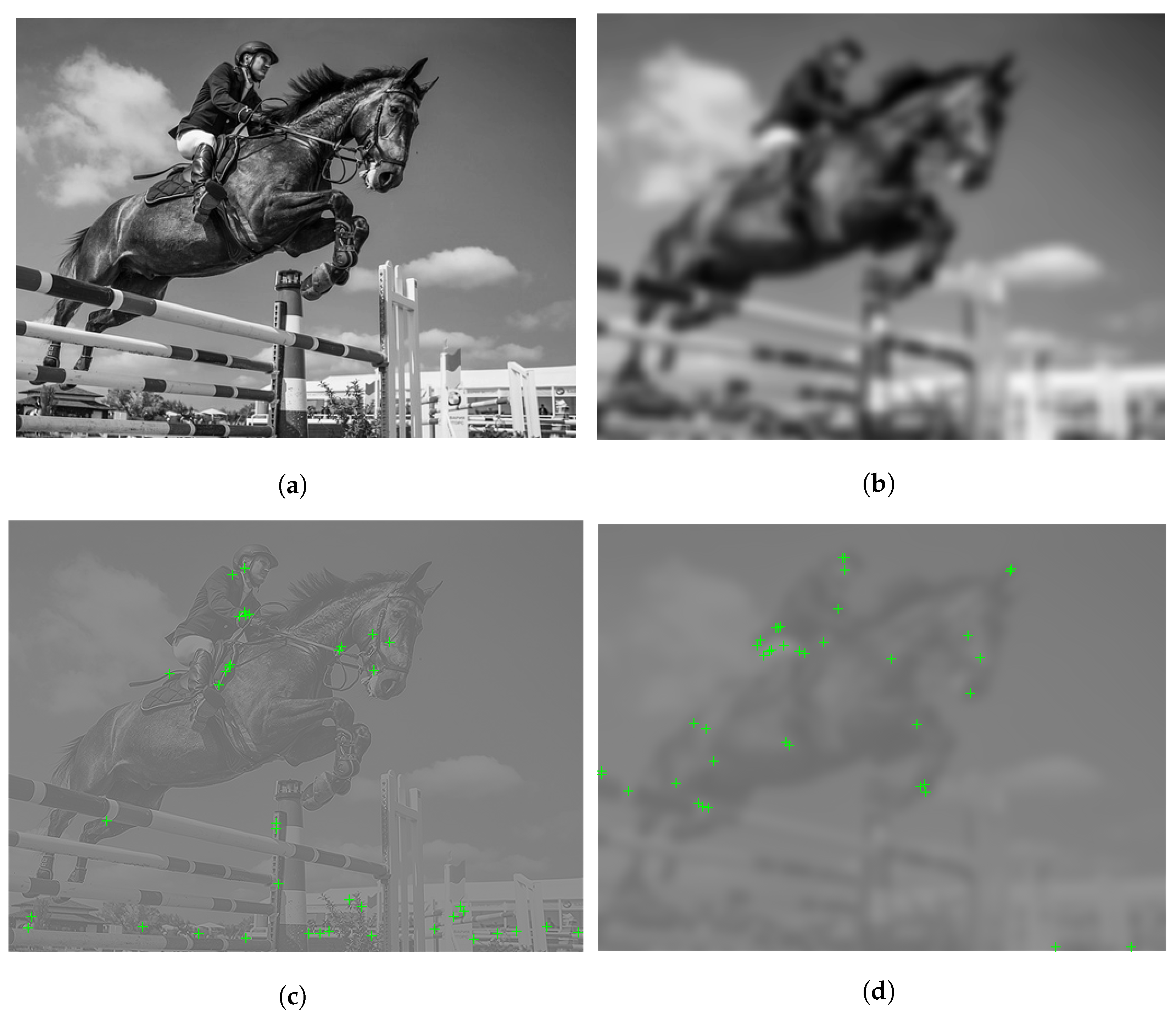 Sensors 22 06775 g005