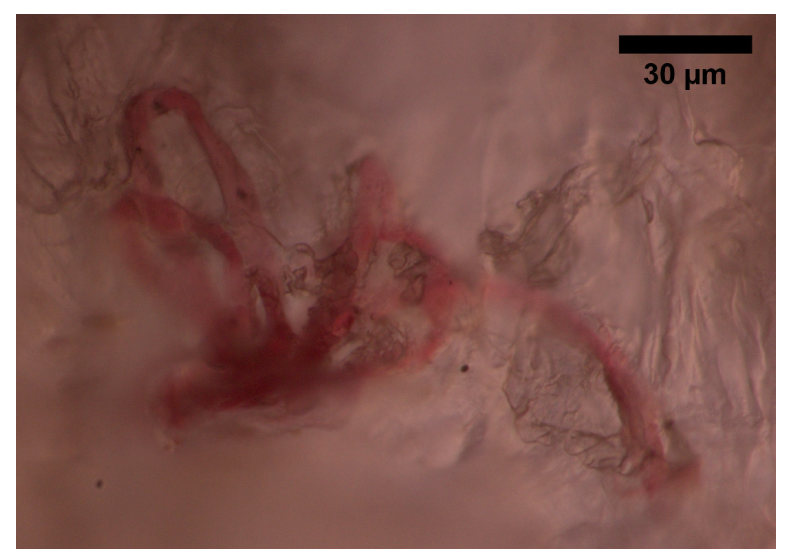 Sensors 22 06836 g004 550