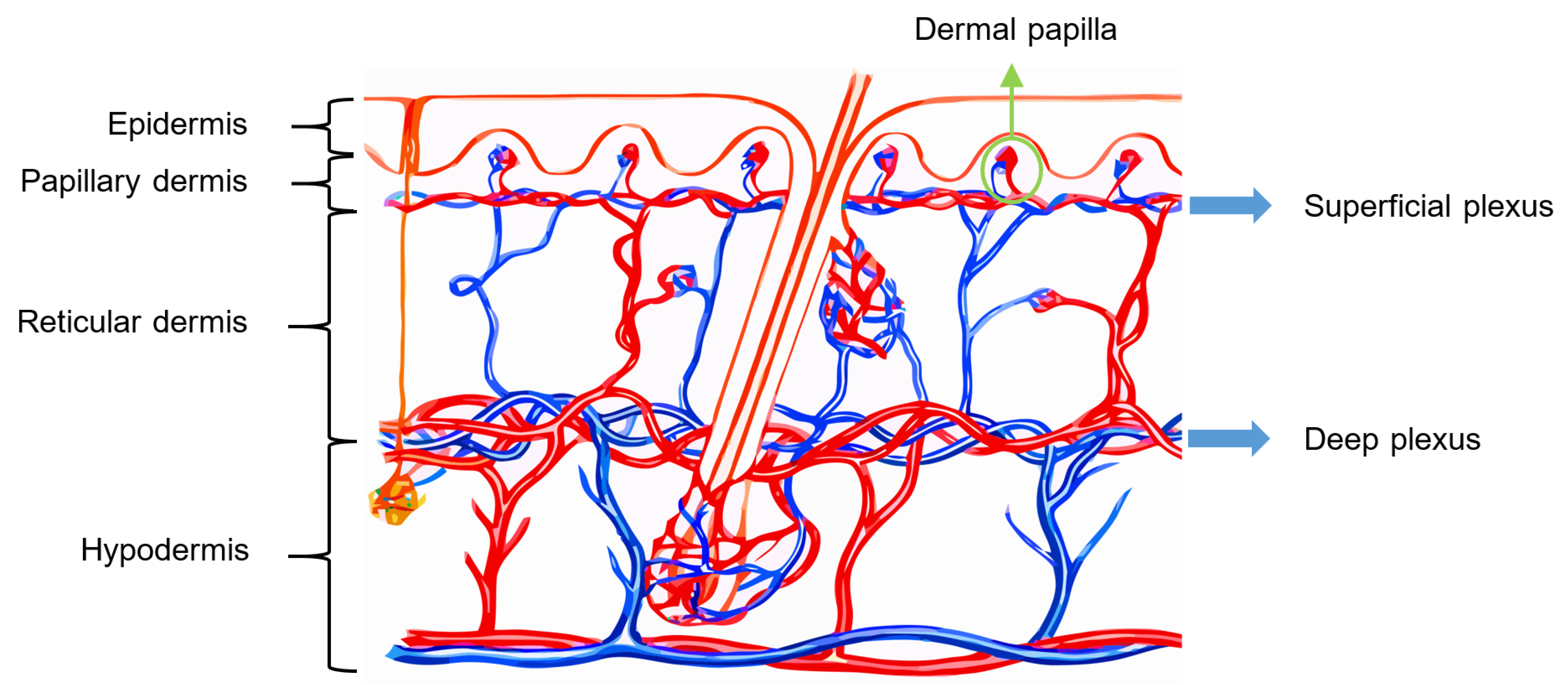 Sensors 22 06836 g005 550