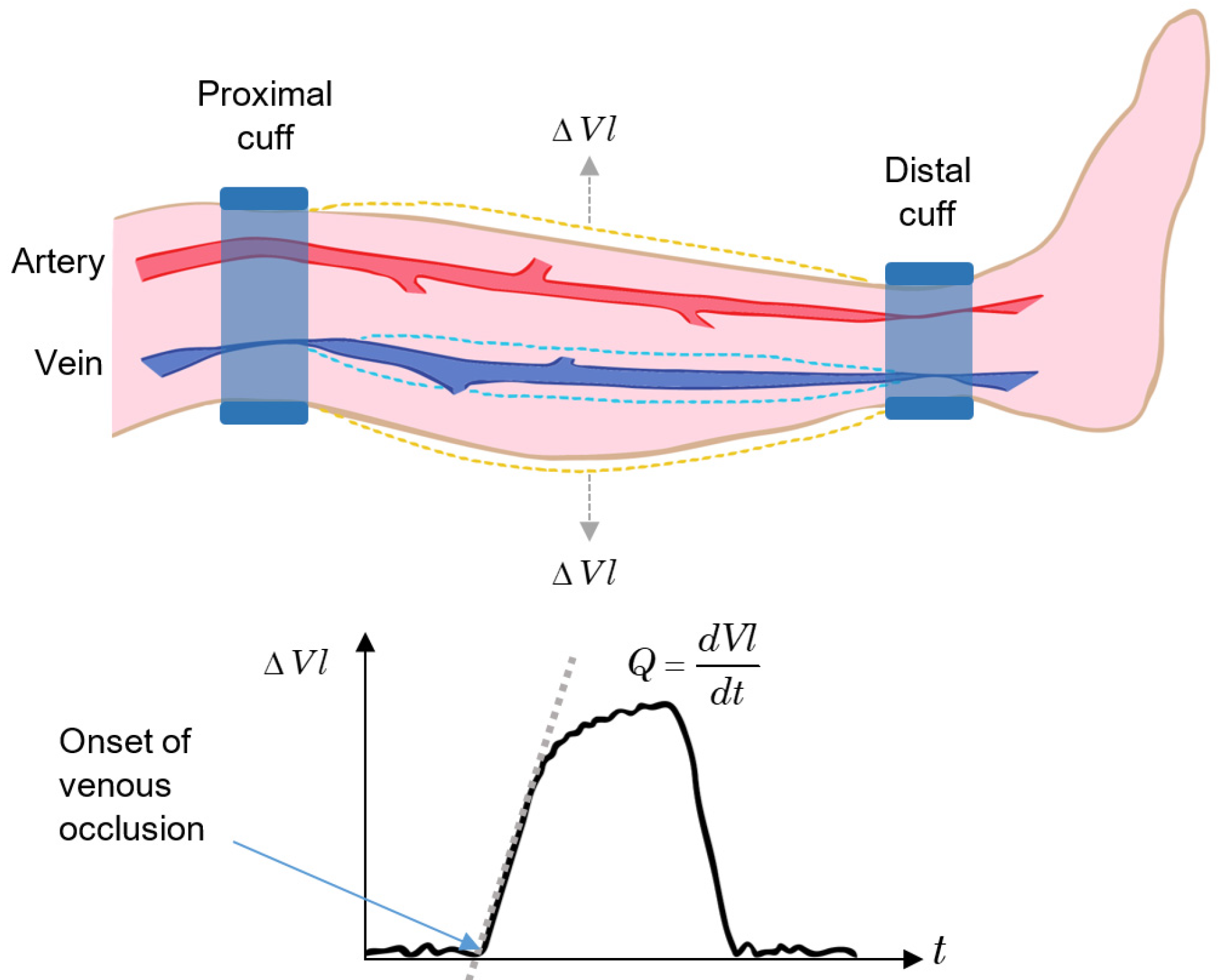 Sensors 22 06836 g006 550