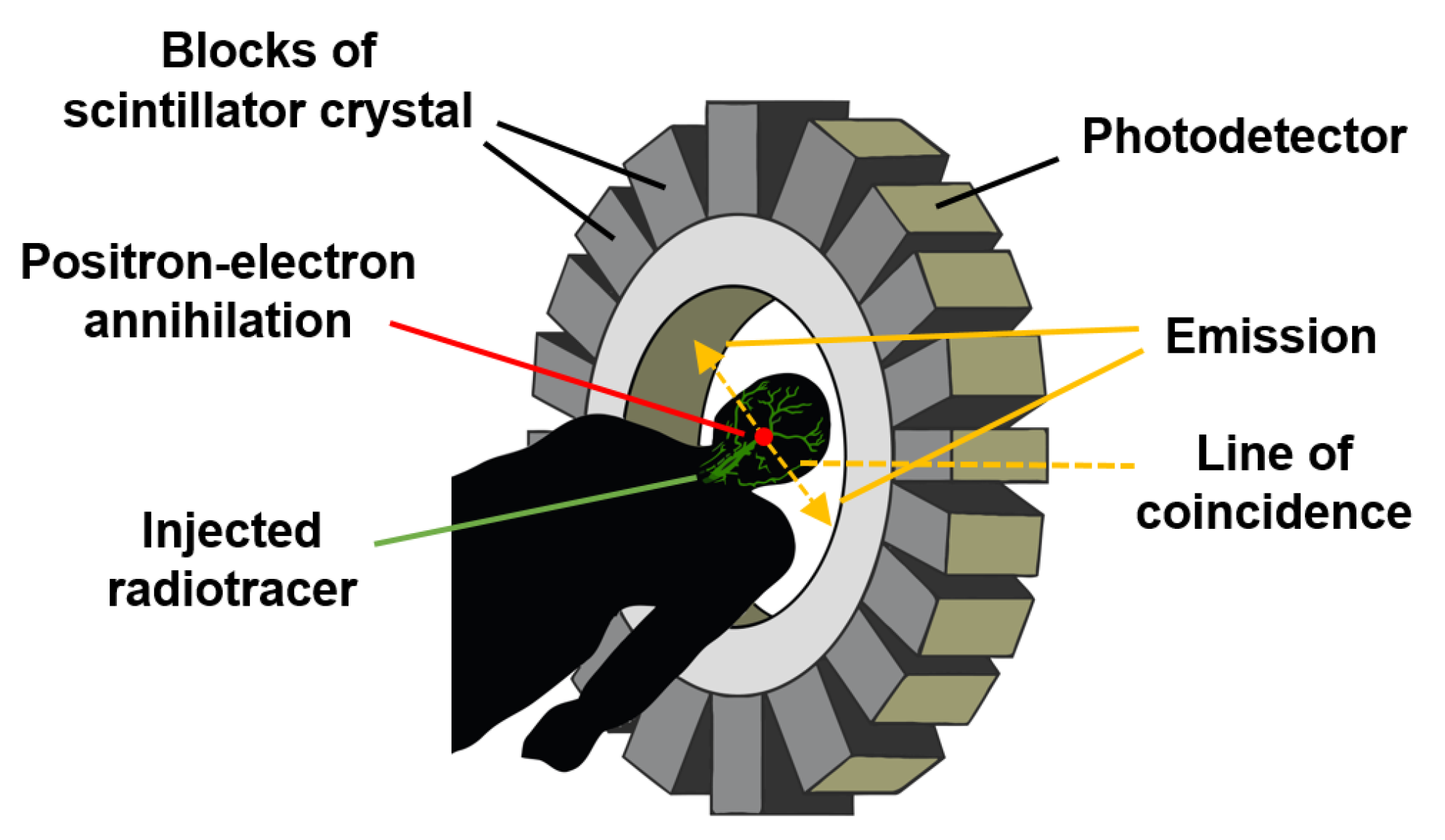 Sensors 22 06836 g014 550