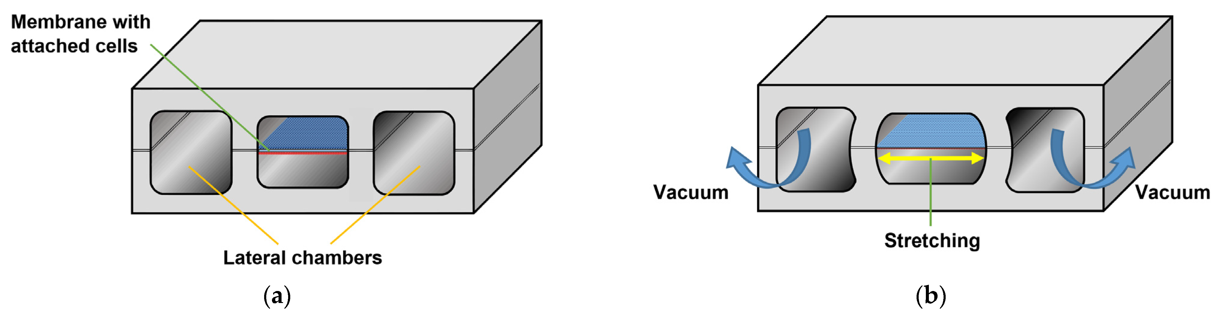 Sensors 22 06836 g017 550