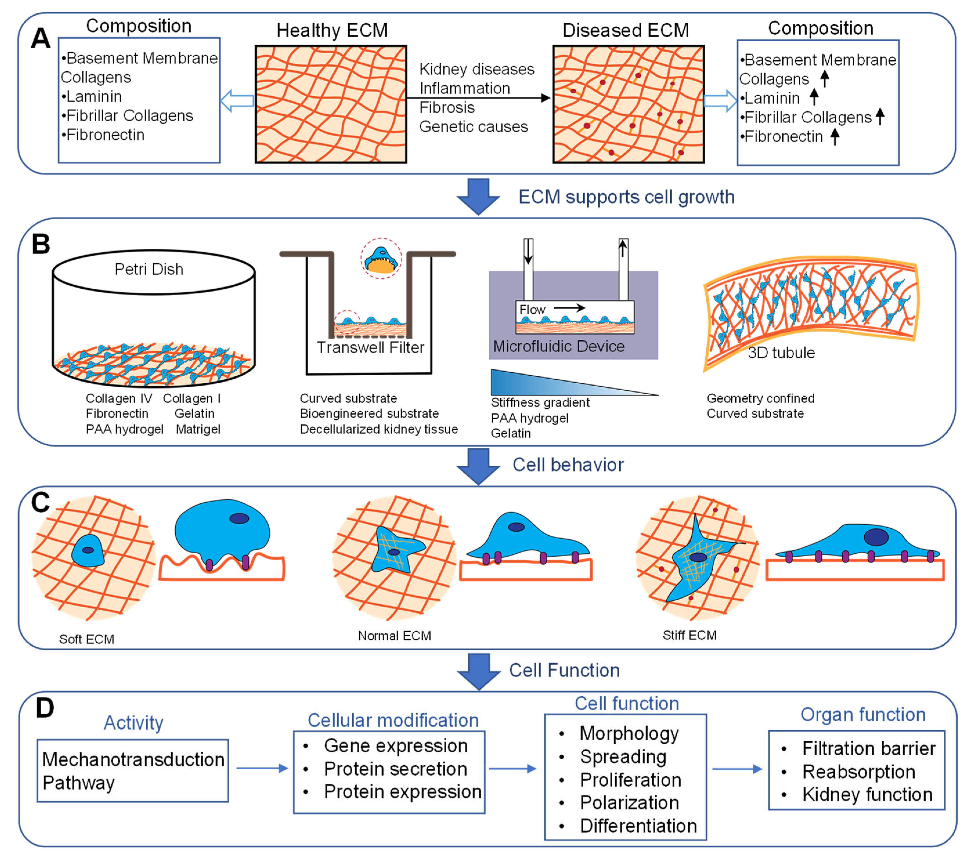 Sensors 22 06889 g002 Sensors 22 06889 g002