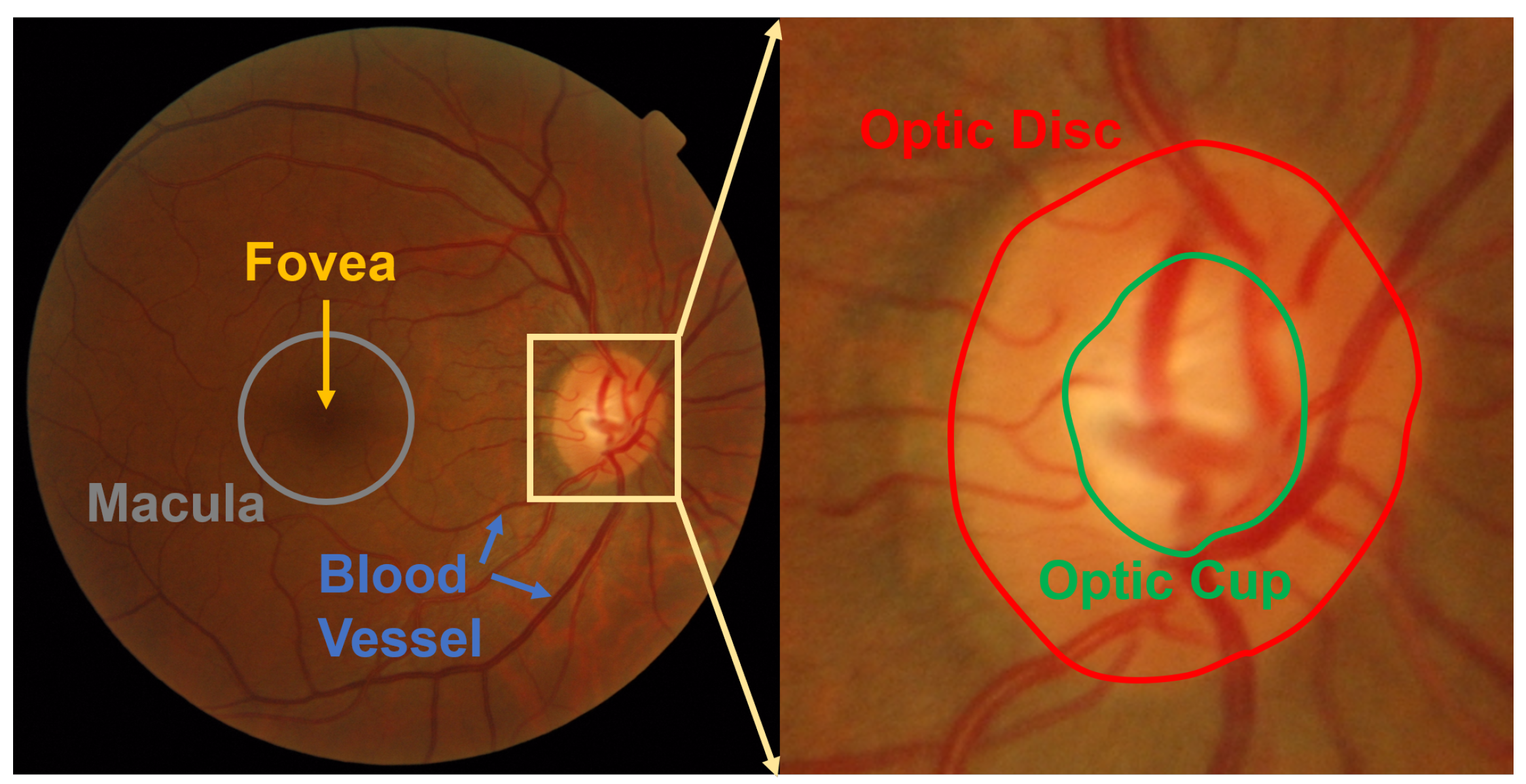 Sensors 22 06899 g001