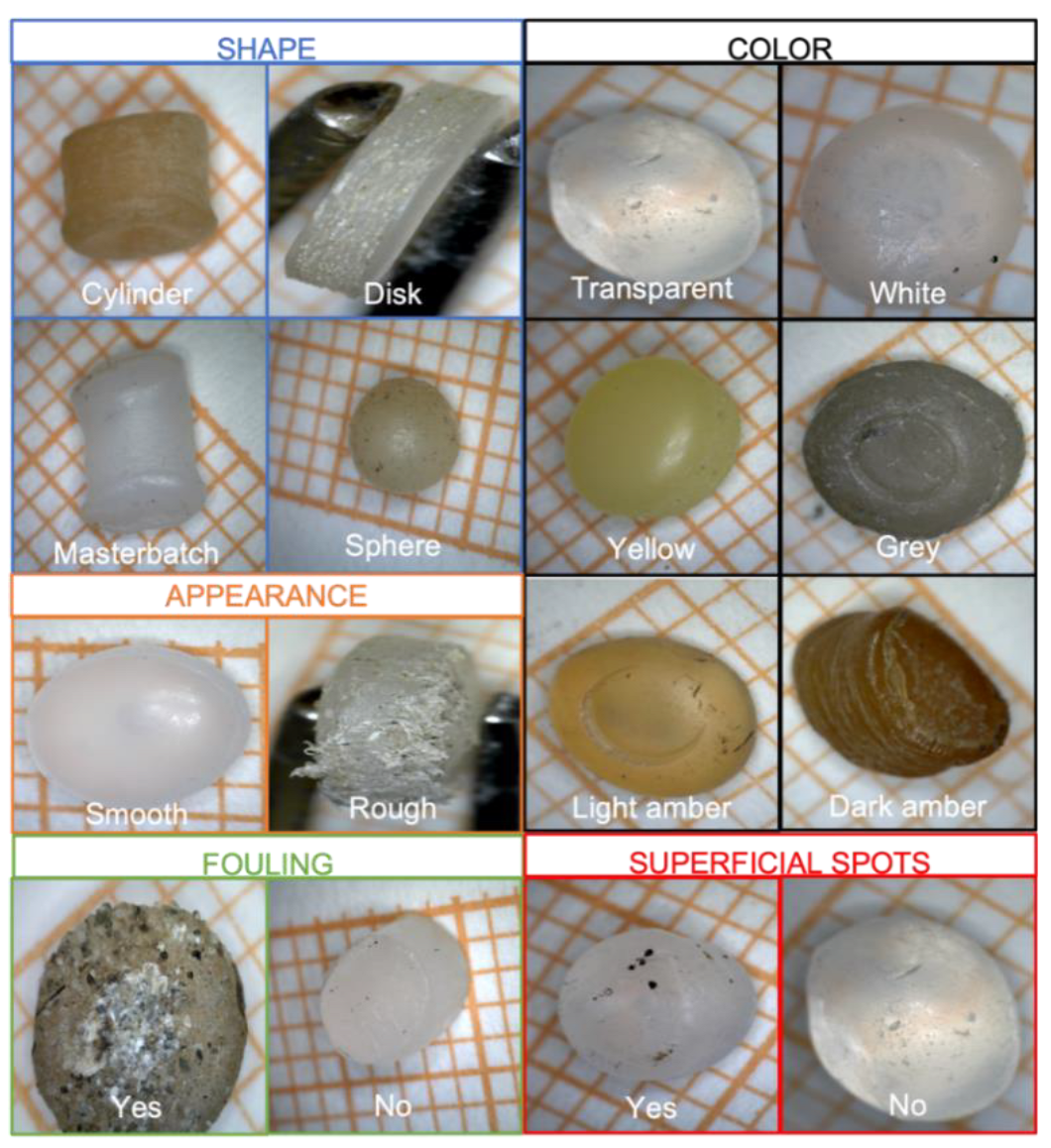 Sensors 22 06910 g002 Sensors 22 06910 g002