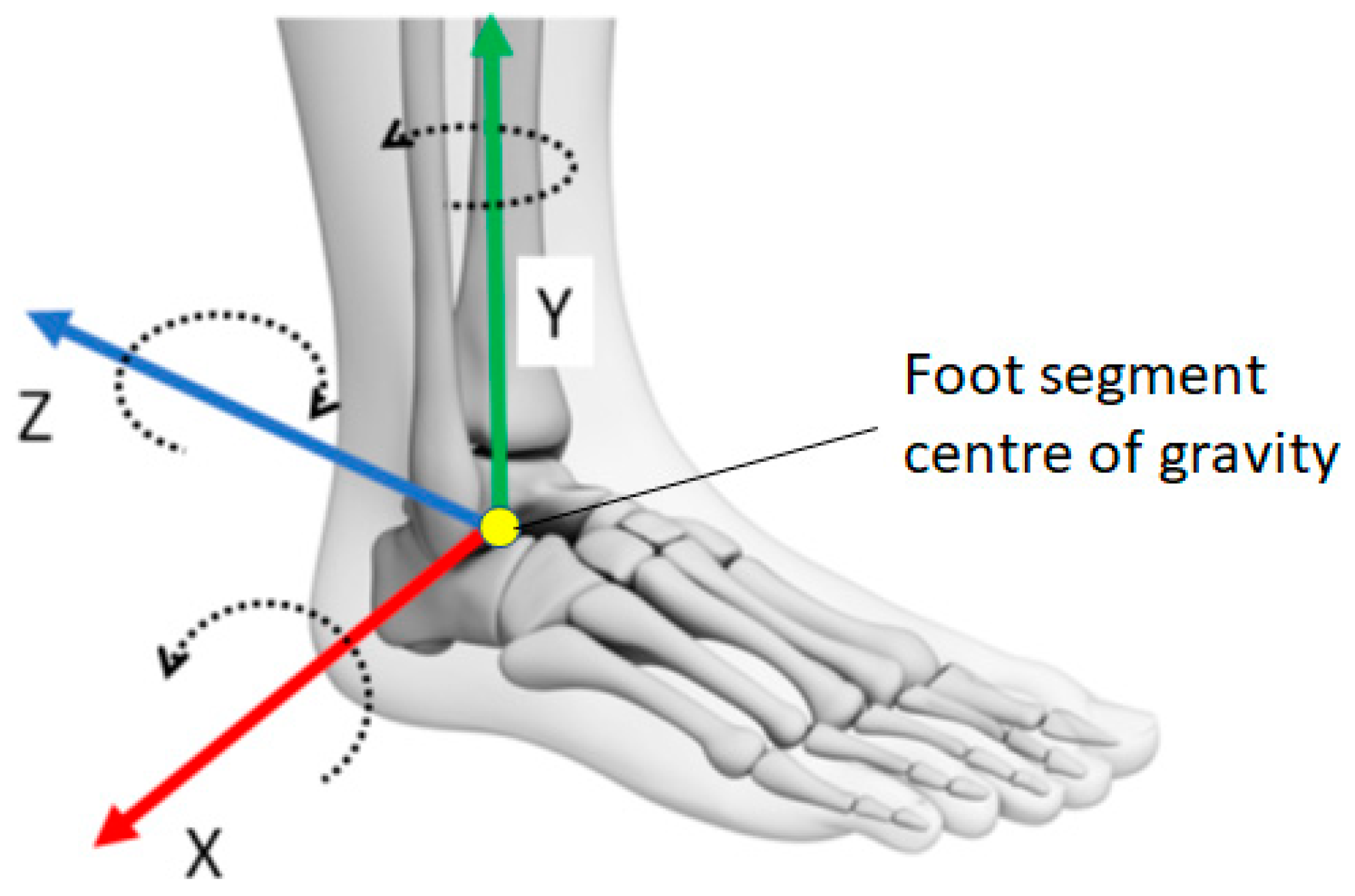 Sensors Free FullText Using Deep Learning to Predict Minimum Foot