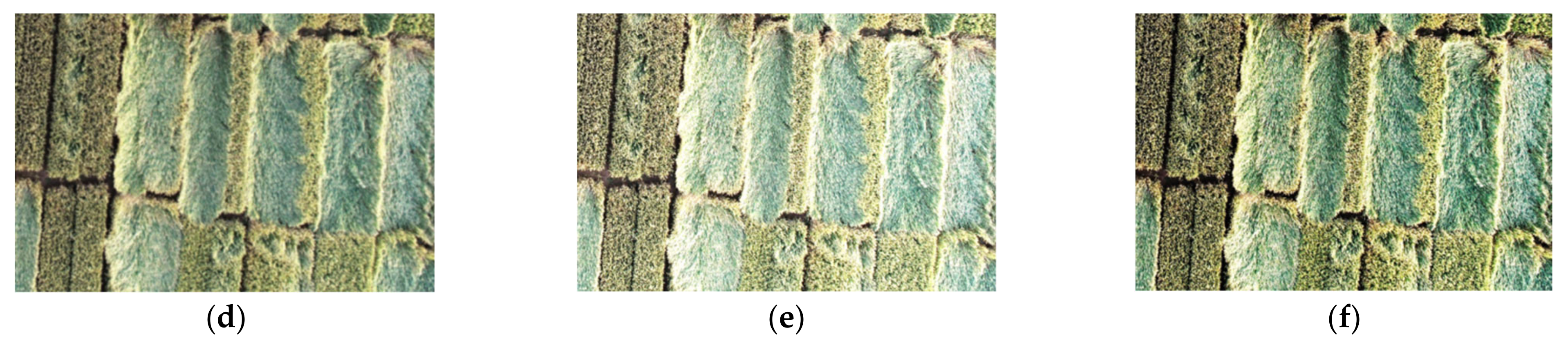 Sensors 22 06967 g004b 550