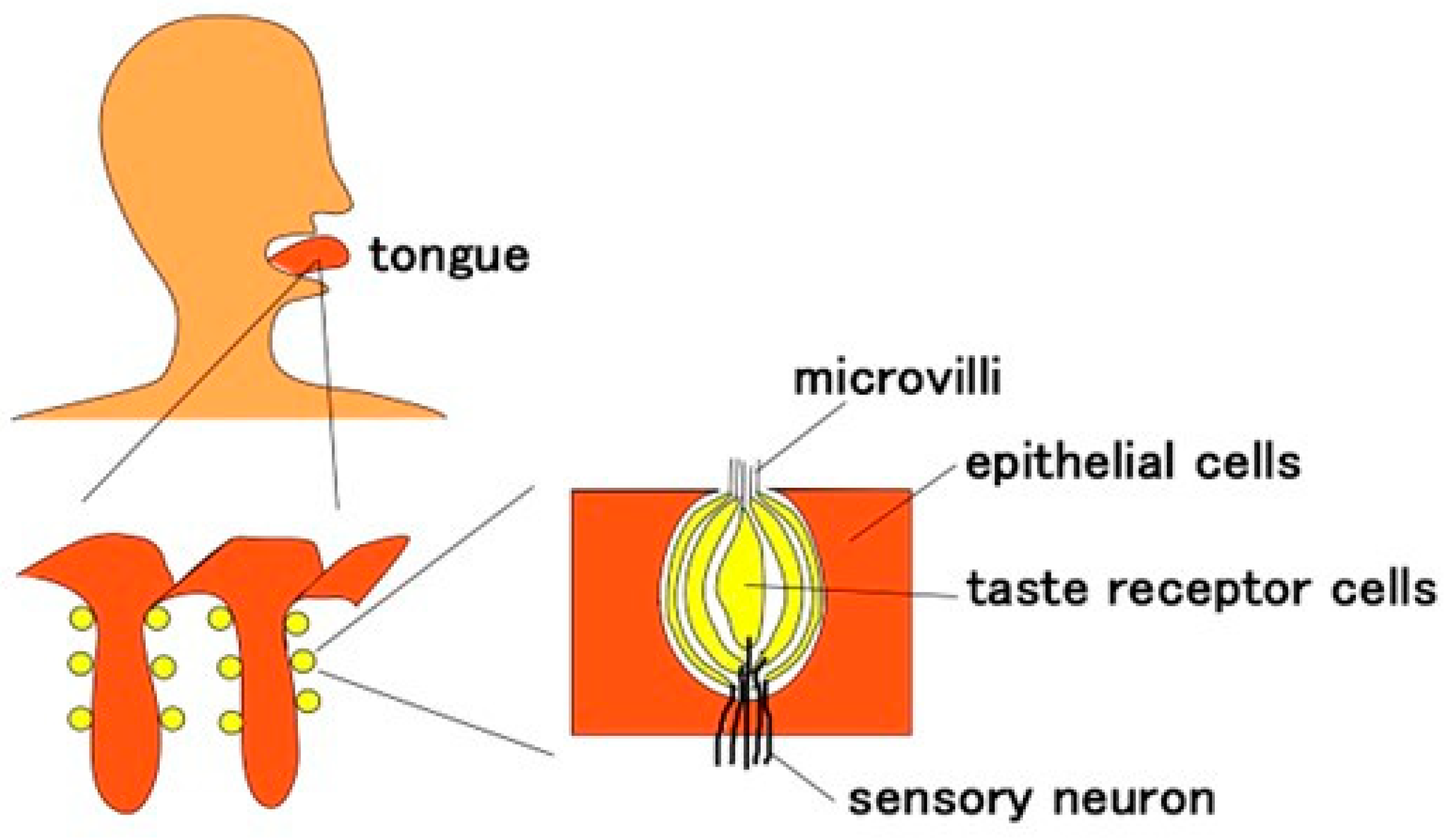 Sensors 22 06979 g001