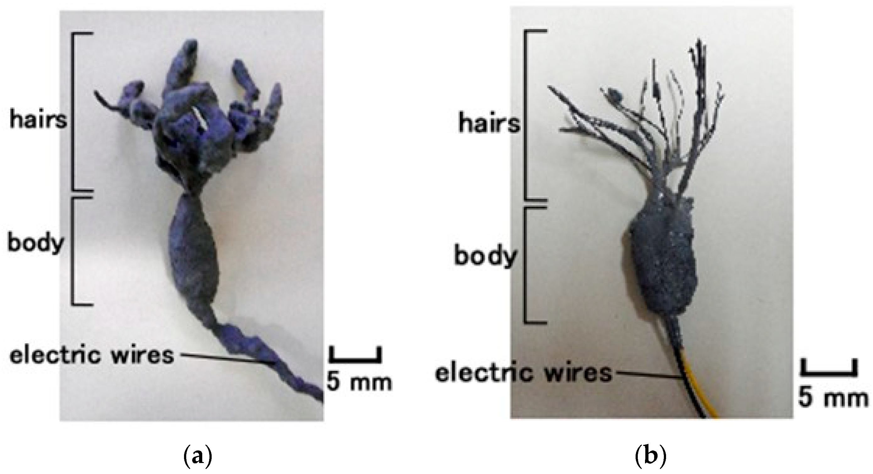 Sensors 22 06979 g002
