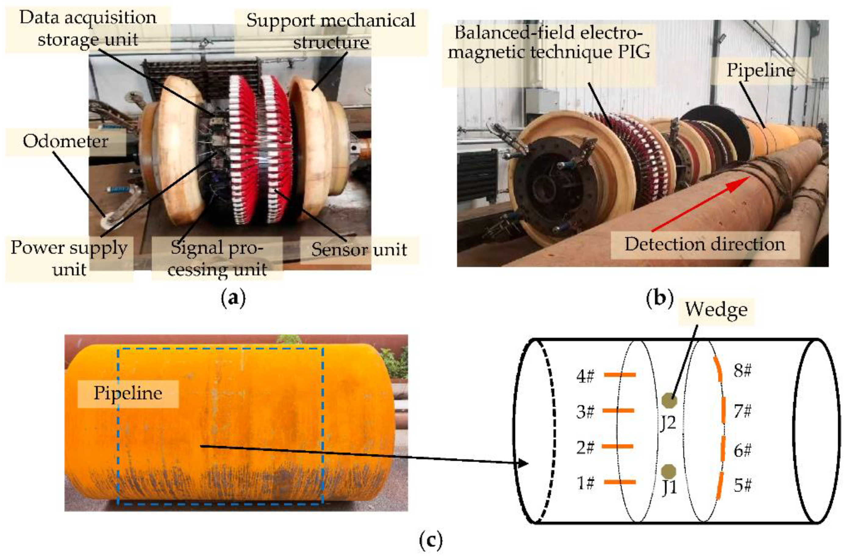 Sensors 22 07000 g013