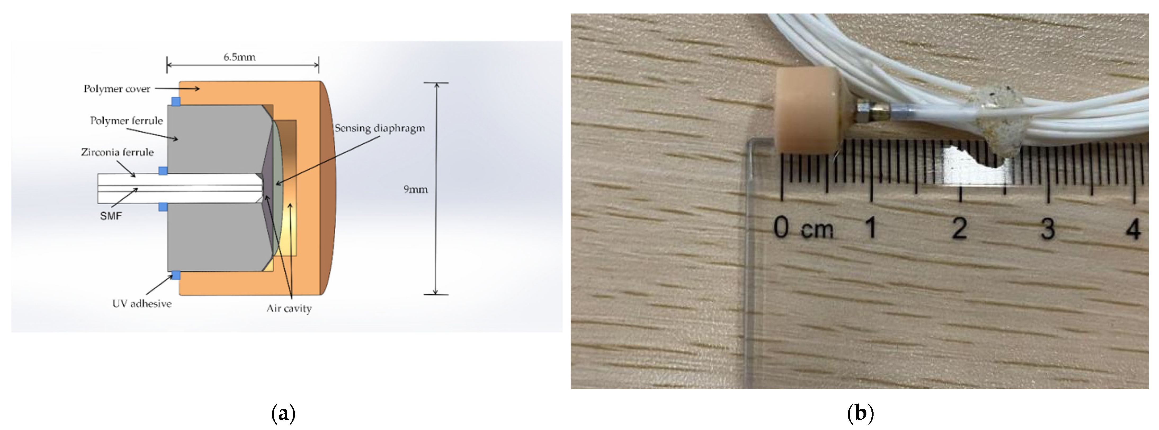 Sensors 22 07069 g001 Sensors 22 07069 g001