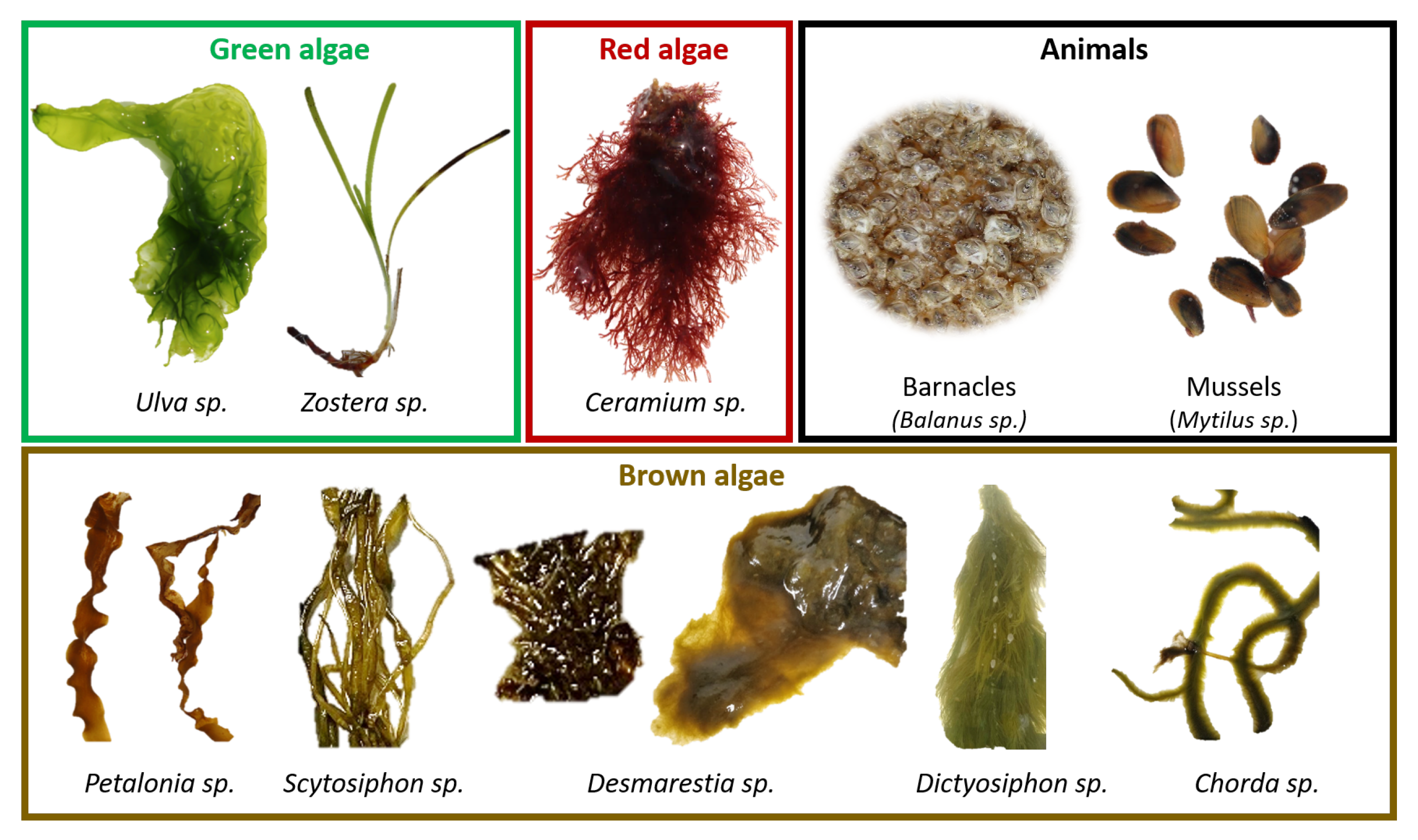 Sensors 22 07074 g001 Sensors 22 07074 g001