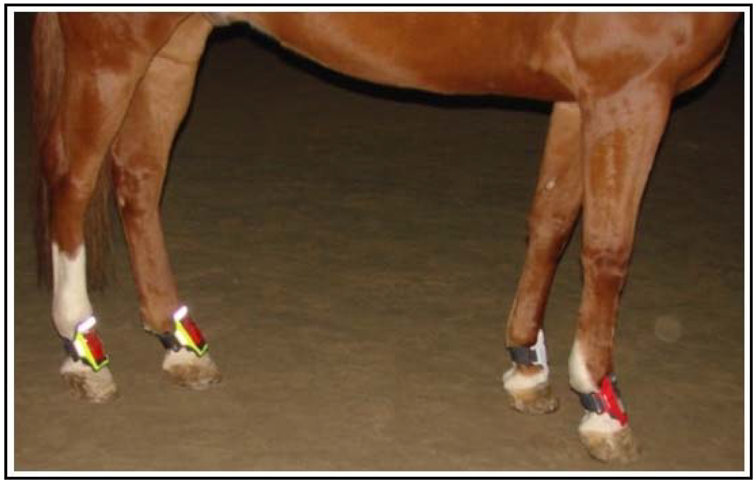 Sensors 22 07082 g003