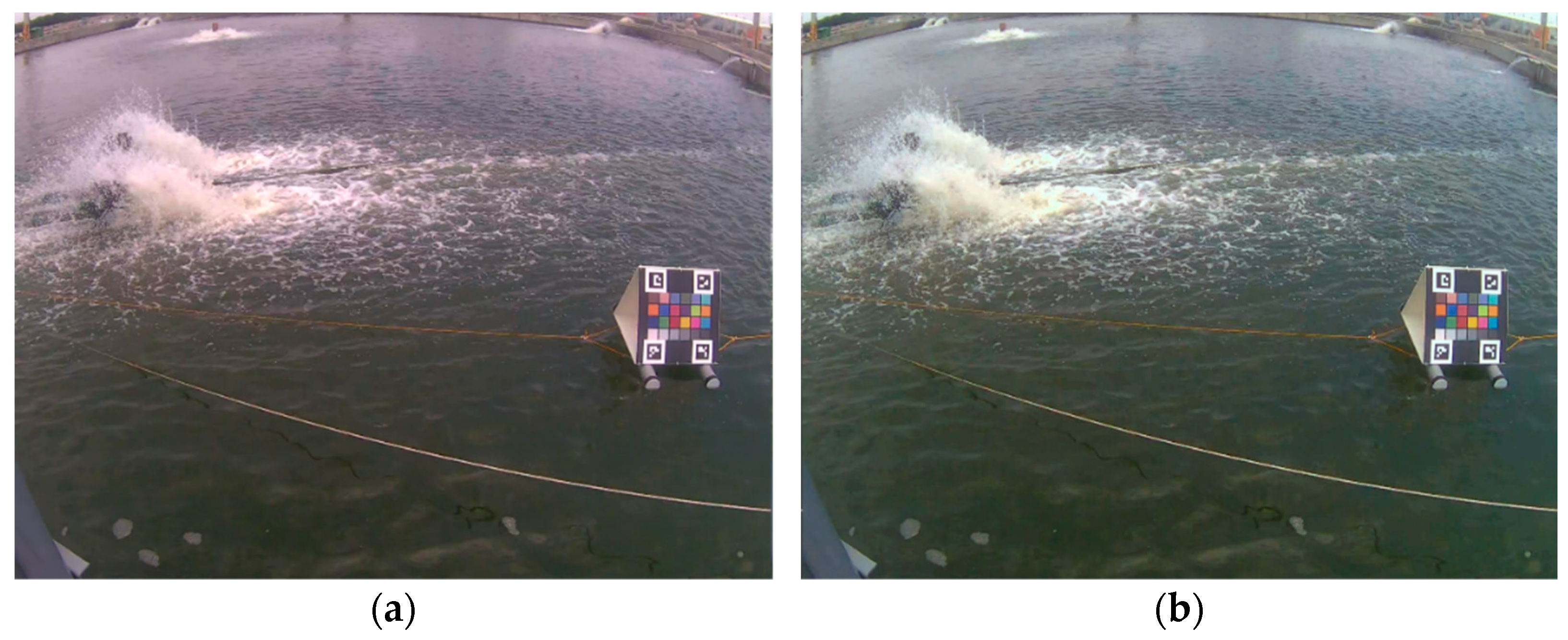 Sensors 22 07131 g005