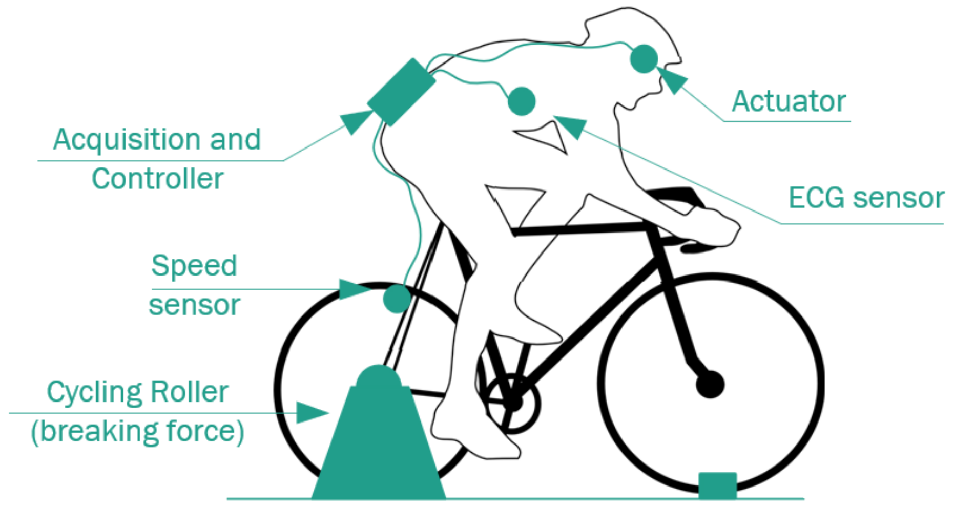 Sensors 22 07153 g012 Sensors 22 07153 g012