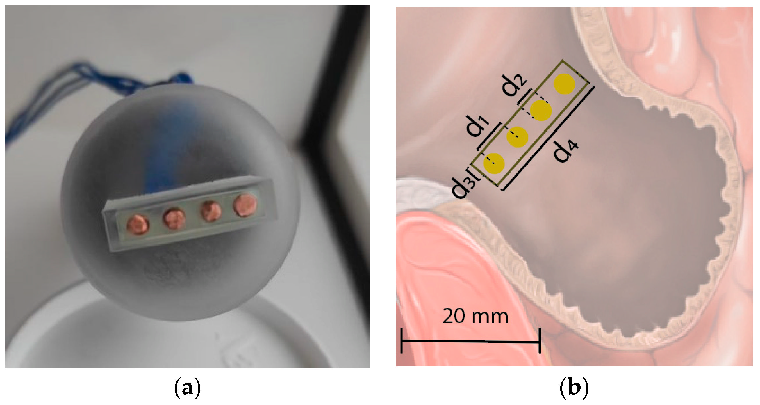 Sensors 22 07171 g002