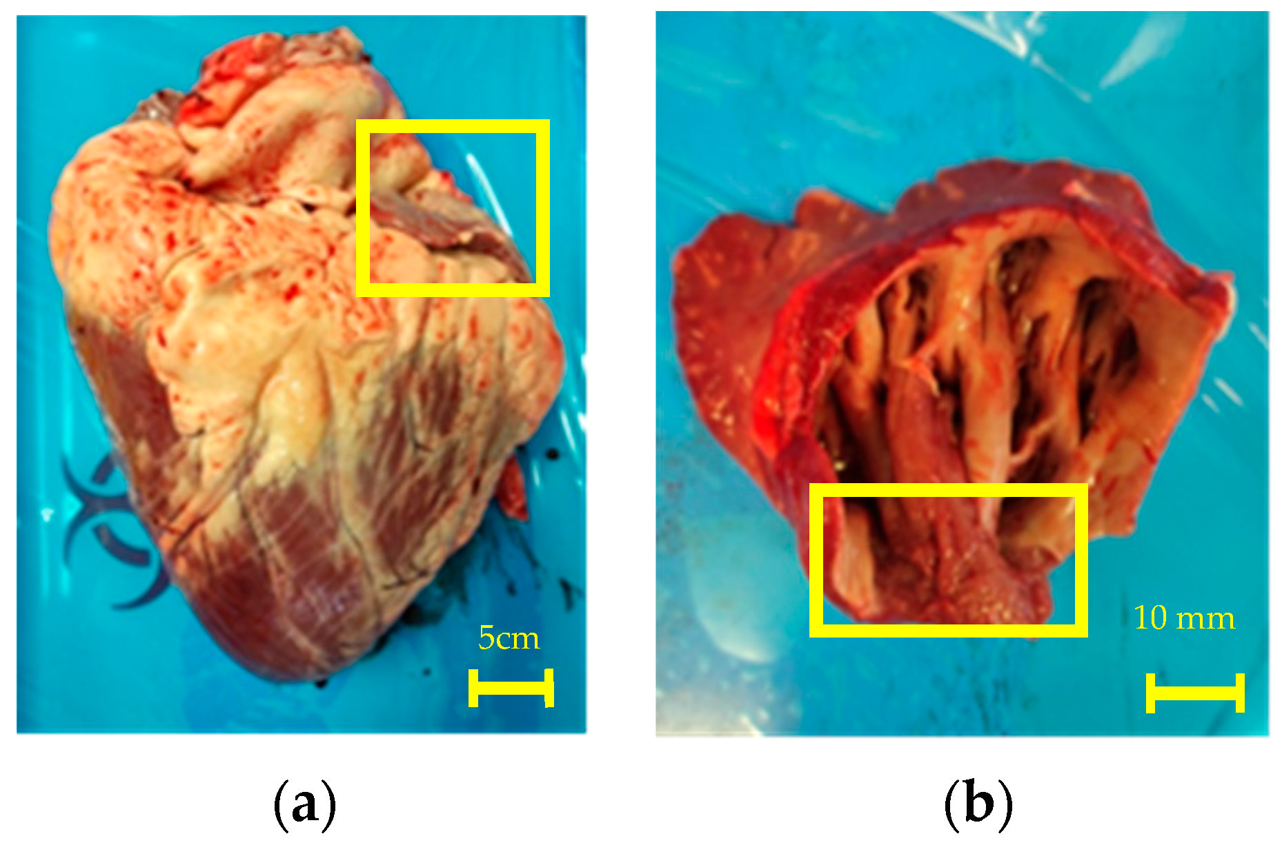 Sensors 22 07171 g003