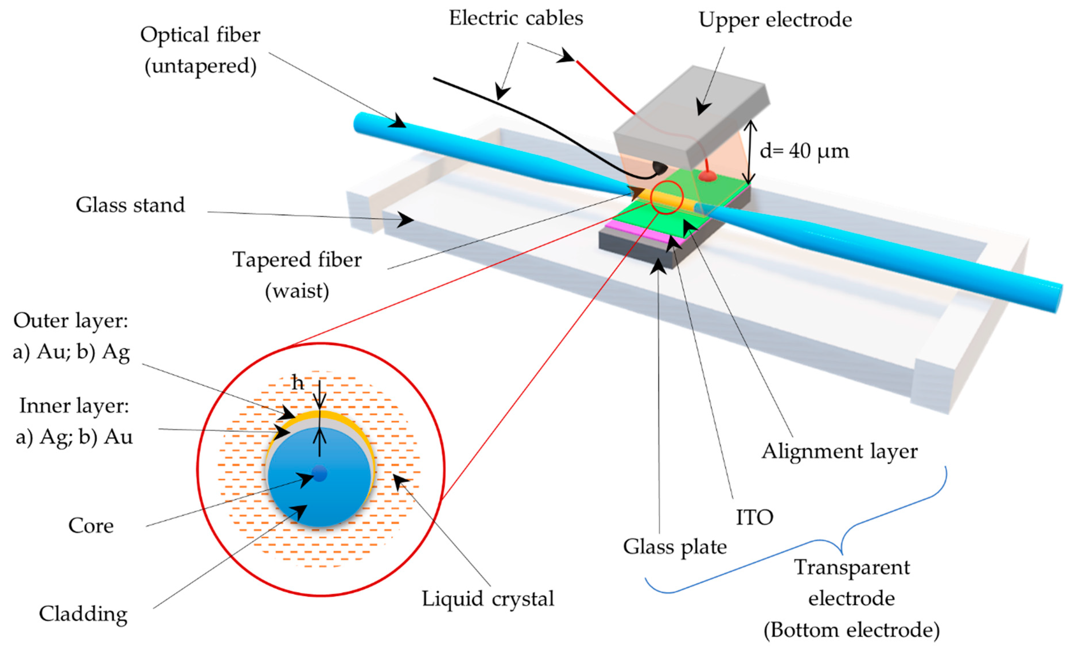 Sensors Free FullText SPR Sensor Based on a Tapered Optical Fiber